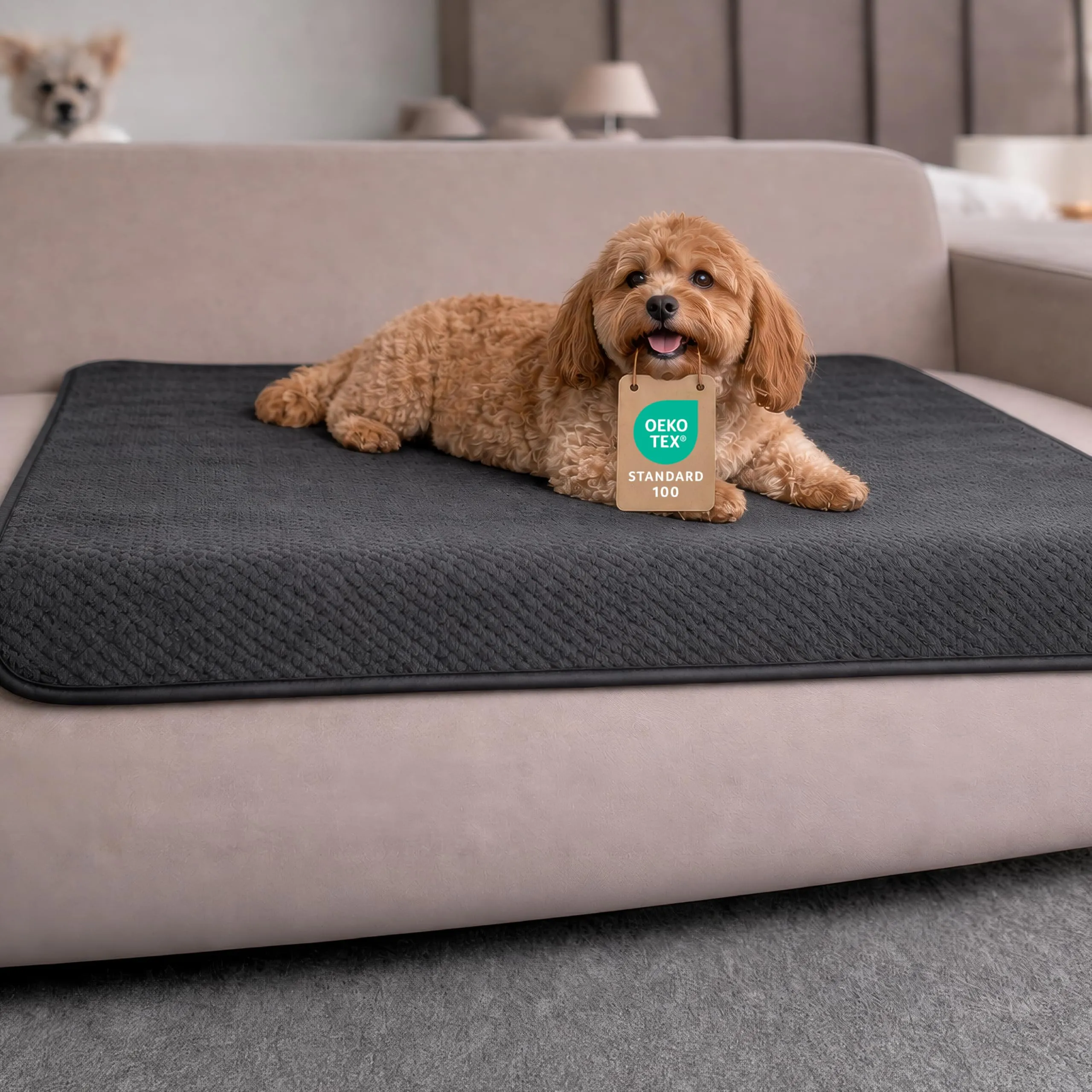 Dreamzie Coperta Impermeabile per Cani 80x100cm - Copridivano Impermeabile per Animali - Reversibile e Lavabile in Lavatrice in Pile Sherpa per Letto o Divano - Grigio scuro - immagine 1