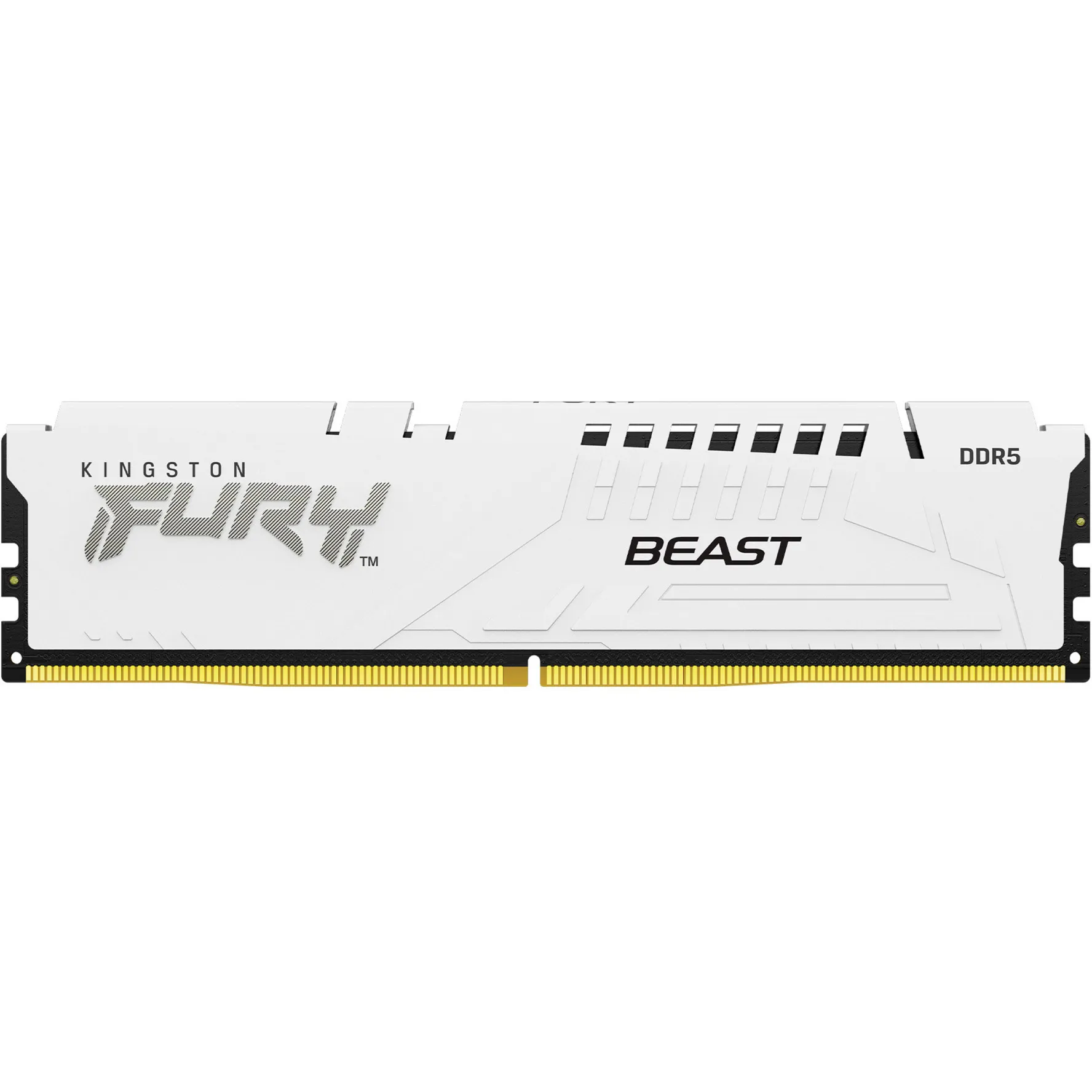 DIMM 16 GB DDR5-6000, Memoria - immagine 1