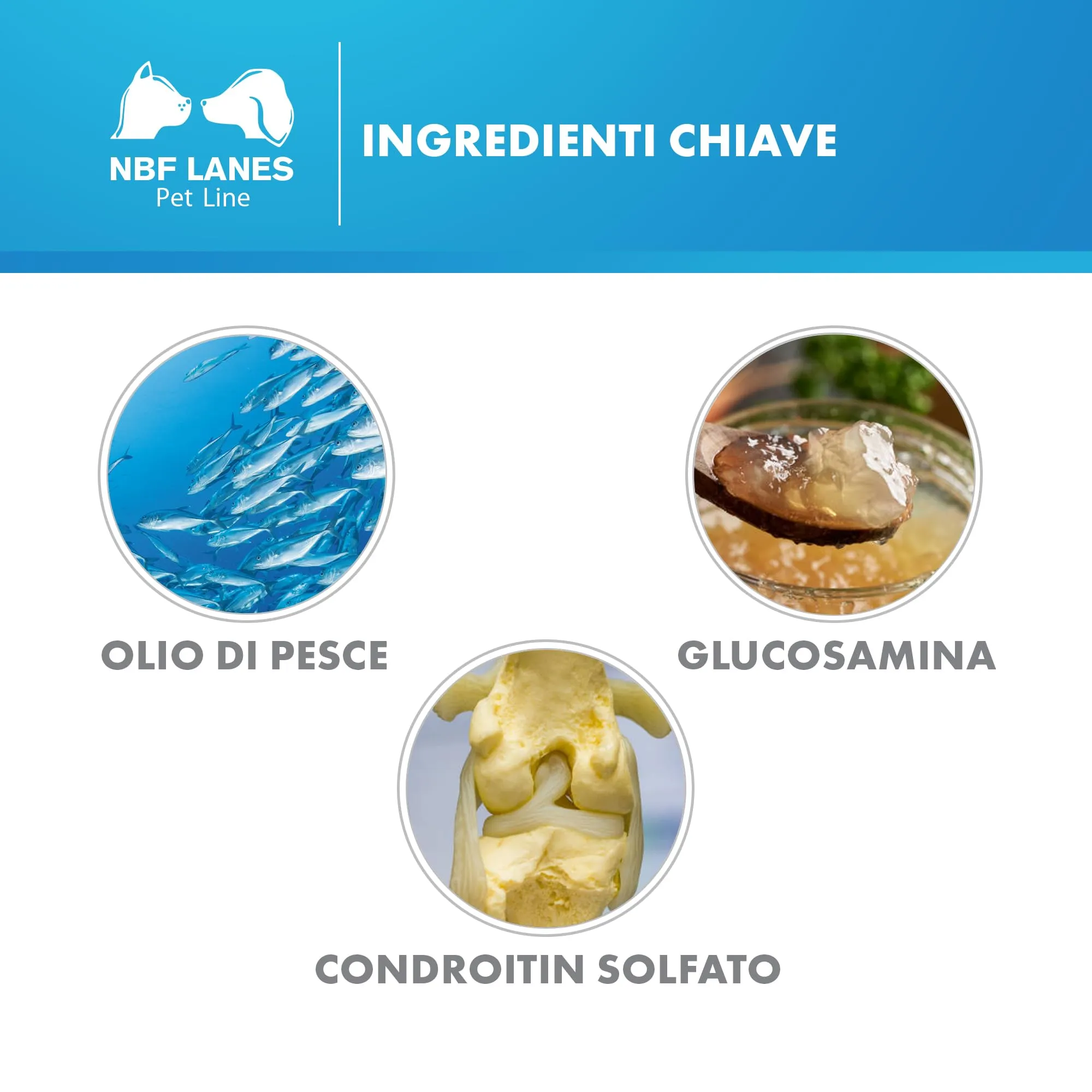 NBF Lanes | Artikrill Gatto, 30 Perle Appetibili, Supporto Metabolismo Articolare in Caso di Osteoartrite in Gatti di Tutte le Età - immagine 5