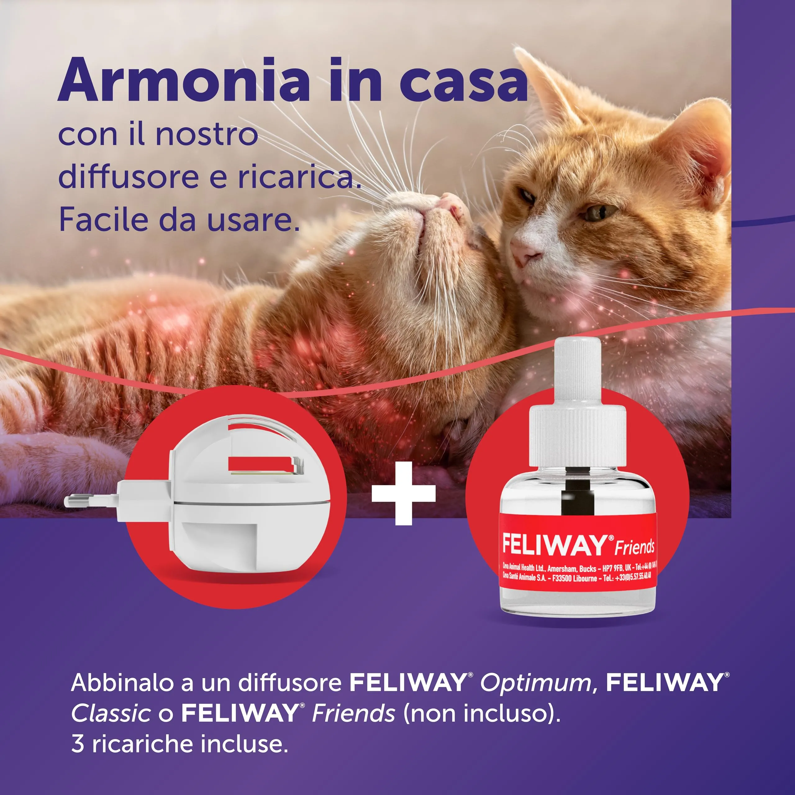 Feliway Friends Ricarica Diffusore di Feromoni Calmanti per Gatti 3 x 48ml - immagine 3
