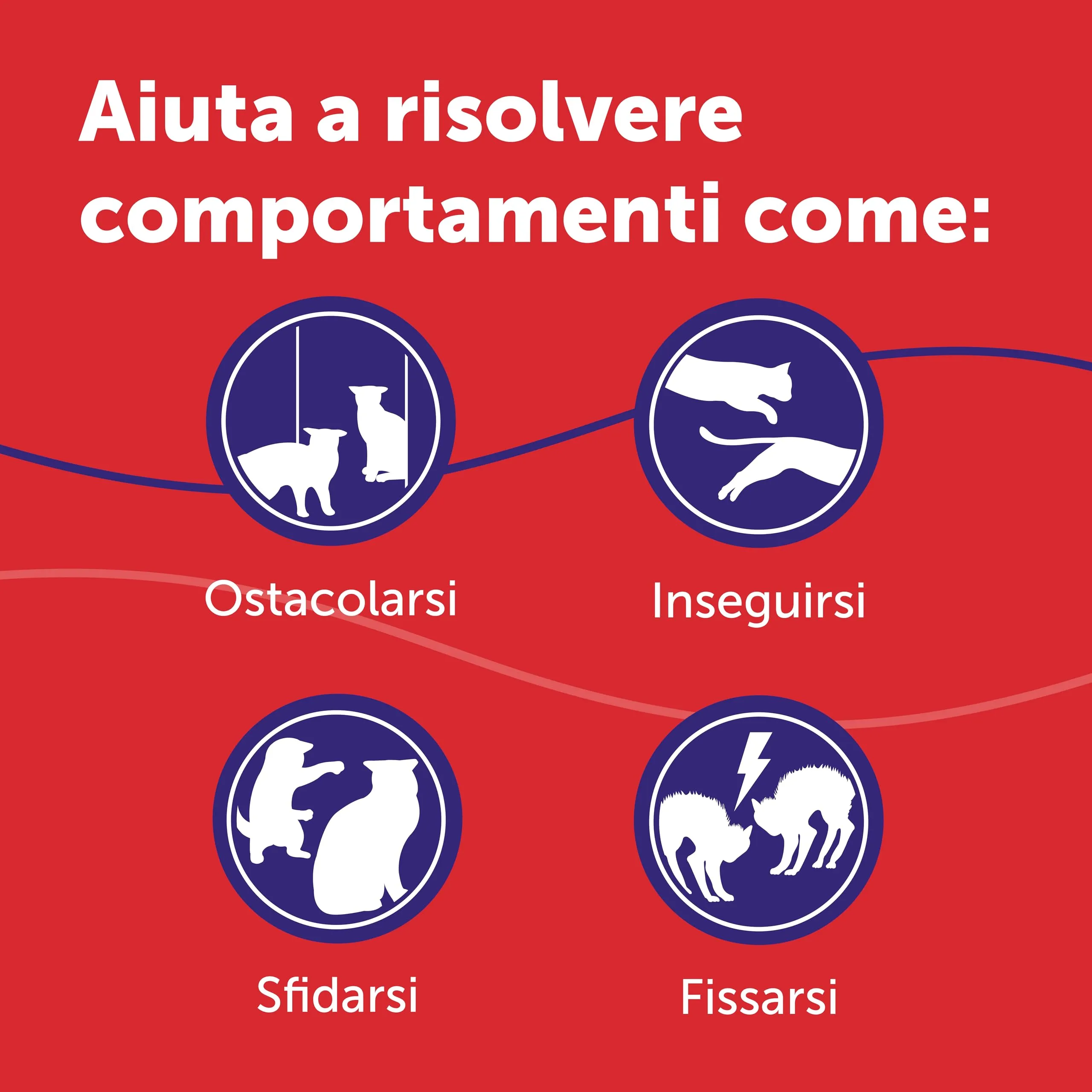 Feliway Friends Ricarica Diffusore di Feromoni Calmanti per Gatti 3 x 48ml - immagine 5