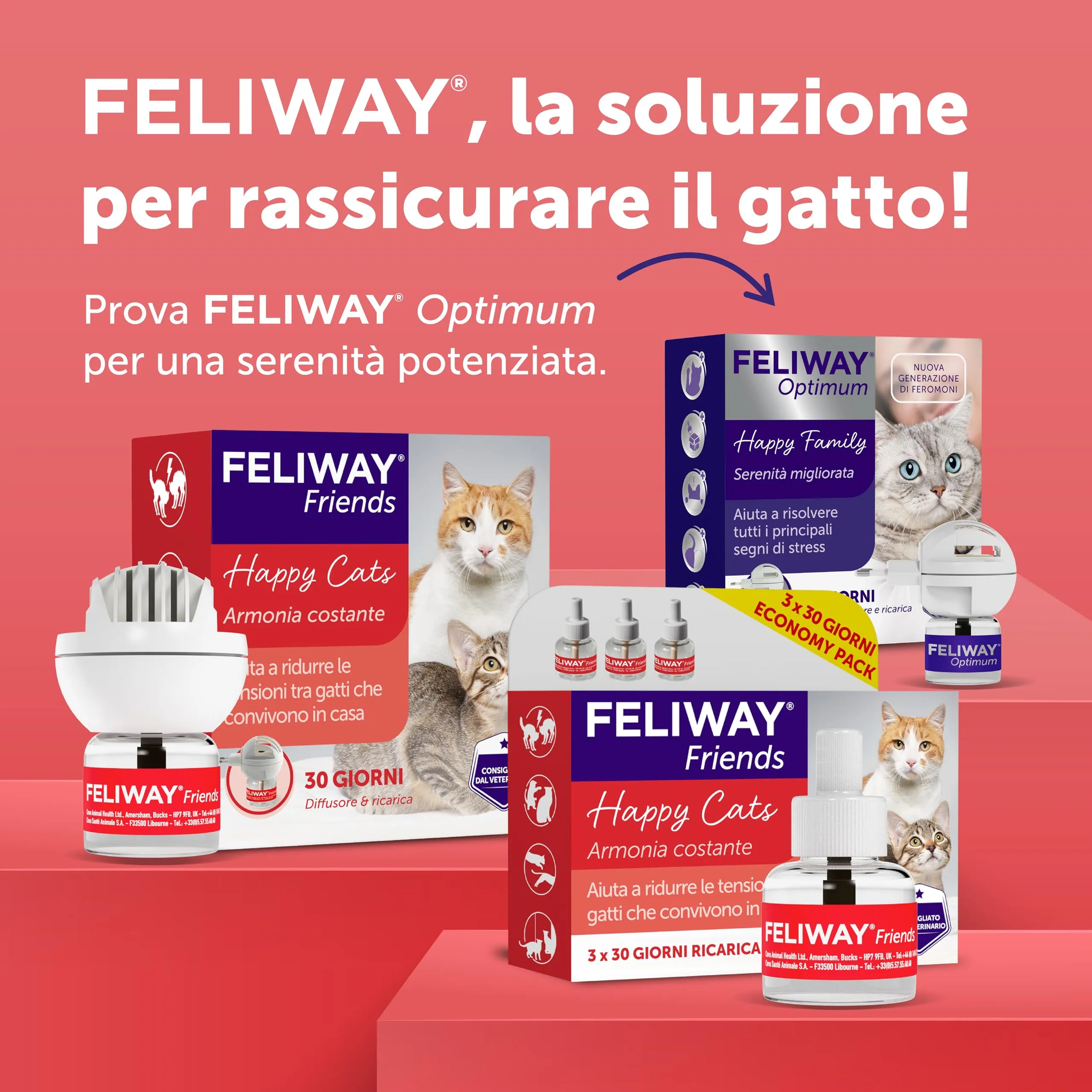 Feliway Friends Ricarica Diffusore di Feromoni Calmanti per Gatti 3 x 48ml - immagine 9