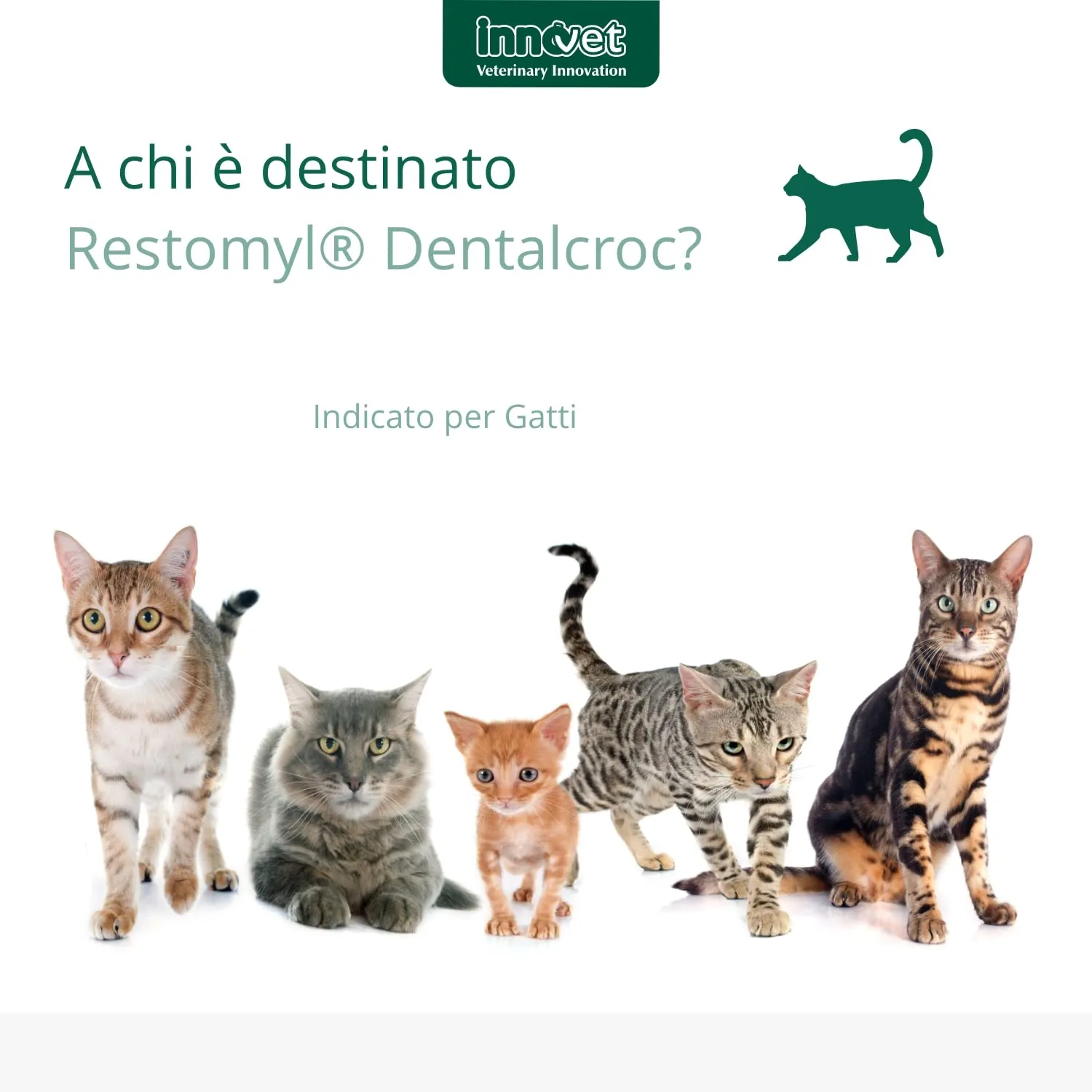 Innovet Restomyl Dentalcroc, Supporto nutrizionale, Migliora l'alito. Controlla e previene la Placca e Il Tartaro dei Gatti - Confezione con Busta da 60 g - immagine 4