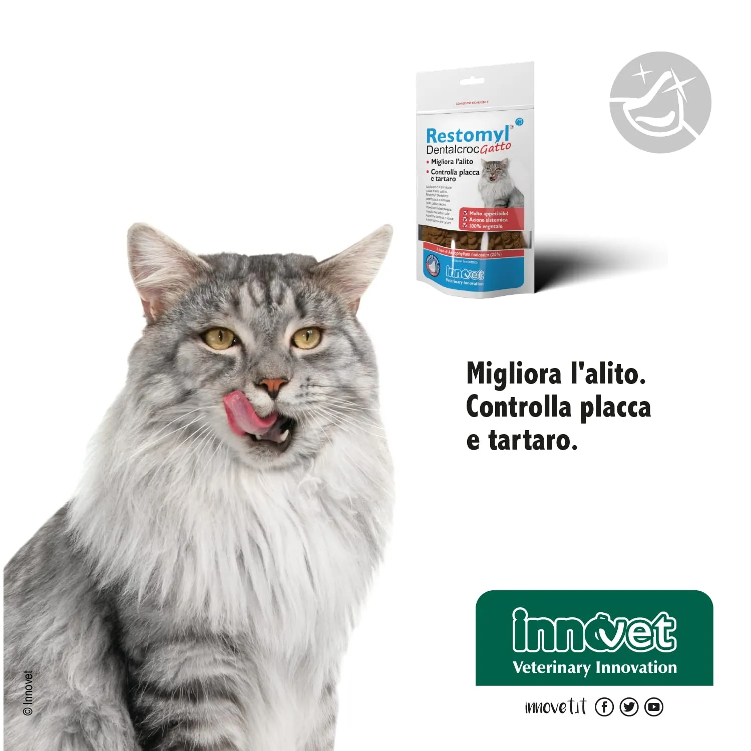 Innovet Restomyl Dentalcroc, Supporto nutrizionale, Migliora l'alito. Controlla e previene la Placca e Il Tartaro dei Gatti - Confezione con Busta da 60 g - immagine 5
