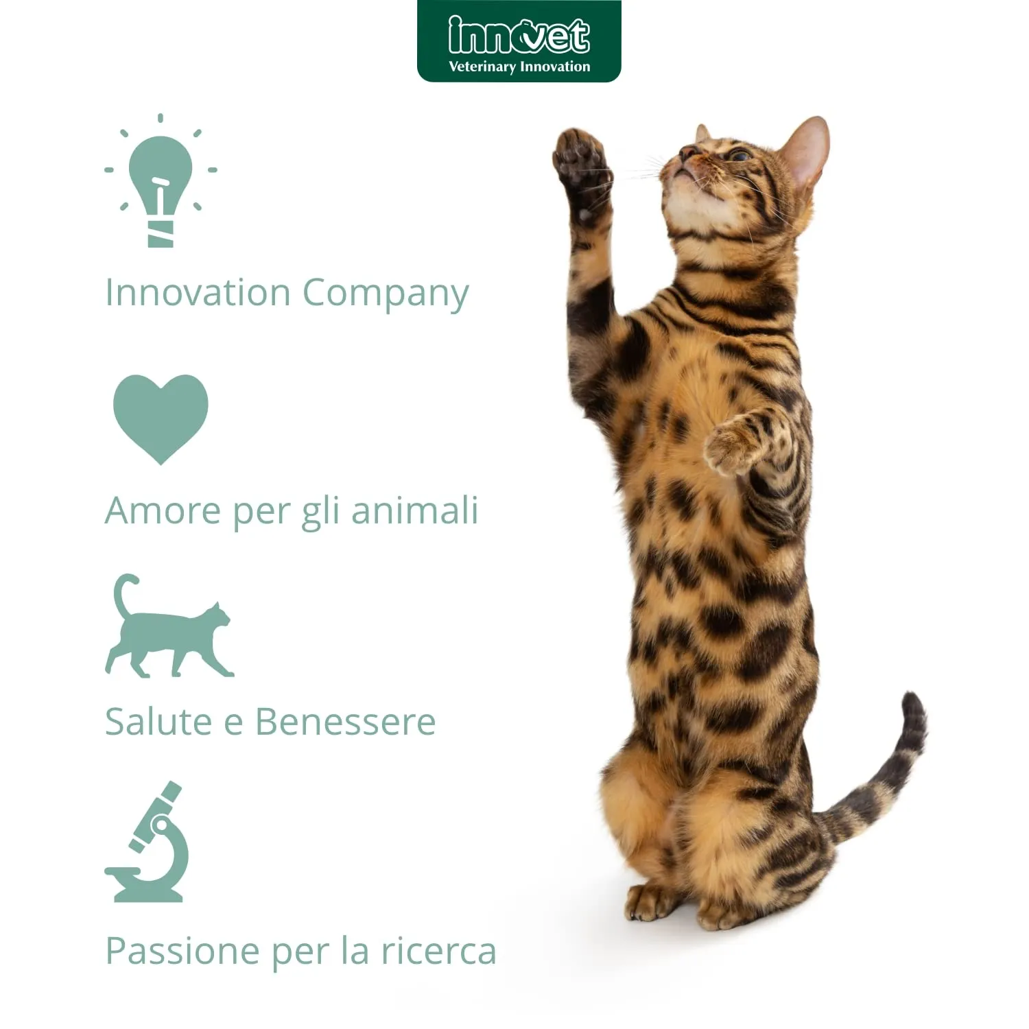 Innovet Restomyl Dentalcroc, Supporto nutrizionale, Migliora l'alito. Controlla e previene la Placca e Il Tartaro dei Gatti - Confezione con Busta da 60 g - immagine 6