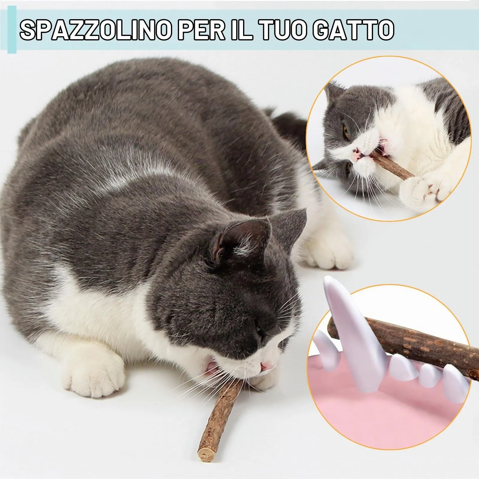 onebarleycorn - Bastoncini di Erba Gatta in Legno Matatabi Gatti Bastoncini Erba Gatta per la Cura Dentale aiutano Giocando ad eliminare alitosi e tartaro (20PCS) - immagine 2