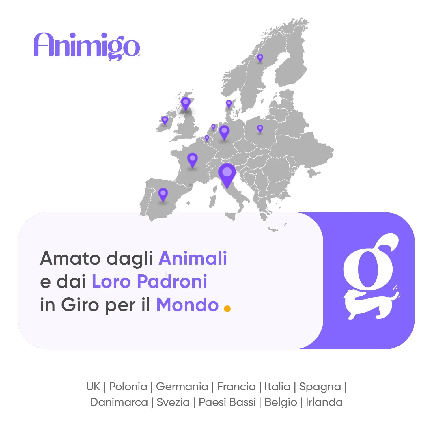 Lisina Gatto in Polvere, Difese Immunitarie Gatto e Vie Respiratorie, 250g, Misurino Incluso, Lisina Integratore (Cloridrato), Magnesio Citrato, Vitamina B6, Senza Glutine né Lattosio, Prodotto in UE - immagine 8