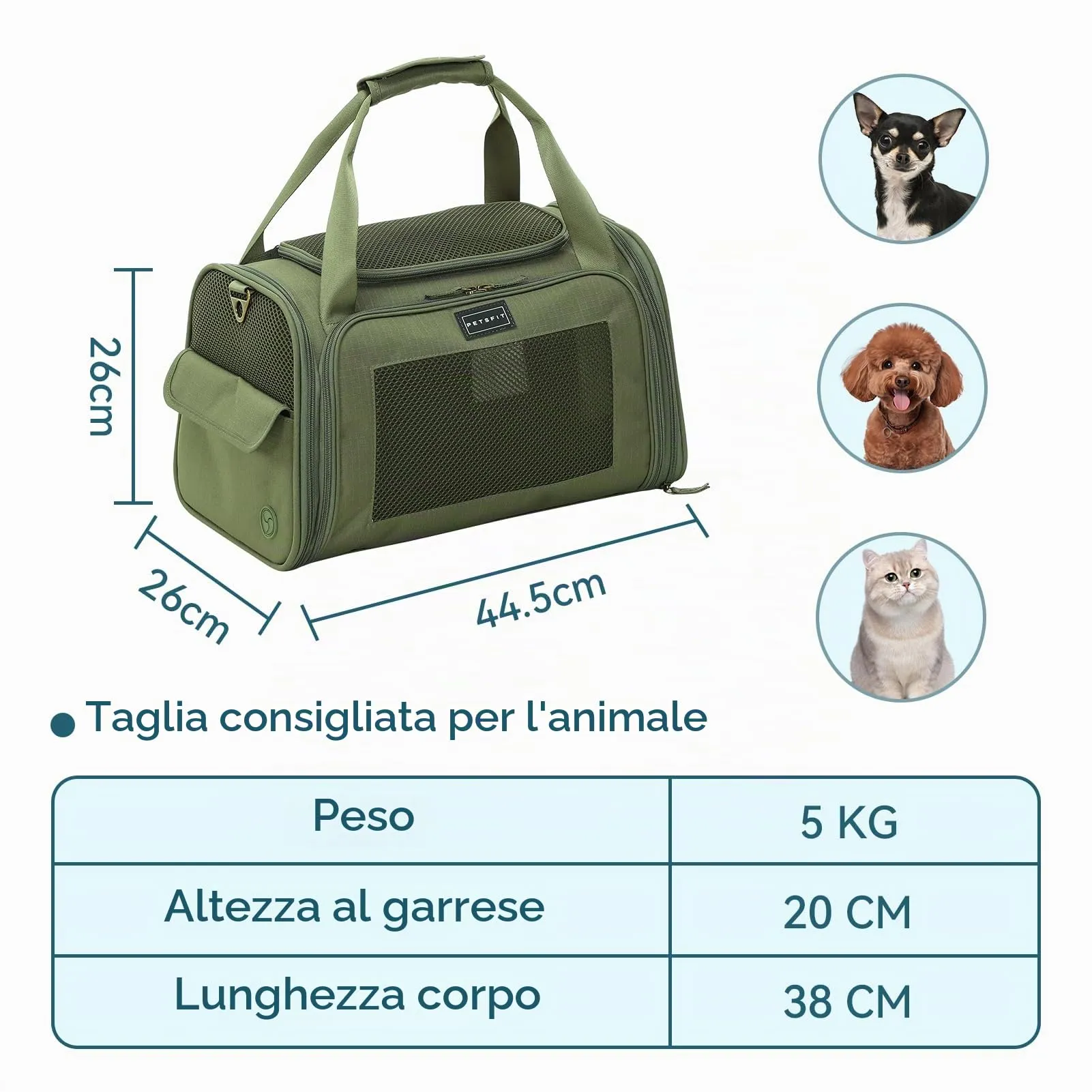 Petsfit Trasportino per Gatti Grande, Trasportino per Cani Piccolo e Grande con Materassino Morbido Espandibile, Borsa da Trasporto Pieghevole Approvata per Compagnie Aeree con Ventilazione in Tessuto - immagine 3