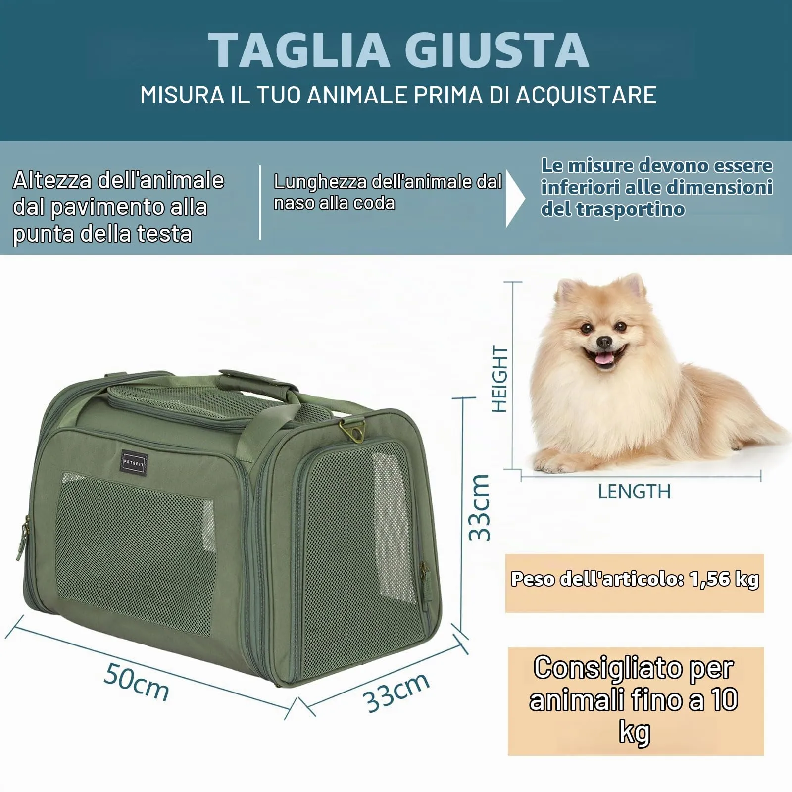 Petsfit Trasportino per gatti e cani pieghevole, borsa per il trasporto per cani e gatti, borsa di alta qualità per cani e gatti con tracolla e morbido cuscino espandibile, grande - immagine 7