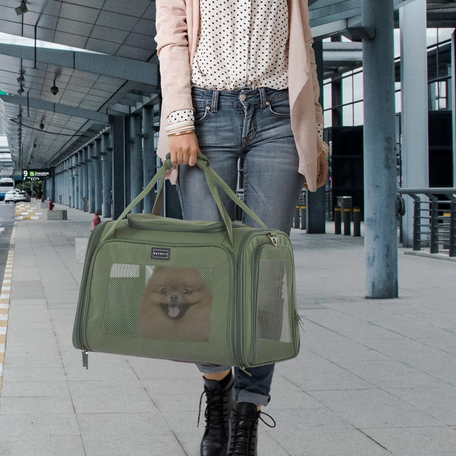 Petsfit Trasportino per gatti e cani pieghevole, borsa per il trasporto per cani e gatti, borsa di alta qualità per cani e gatti con tracolla e morbido cuscino espandibile, grande - immagine 8