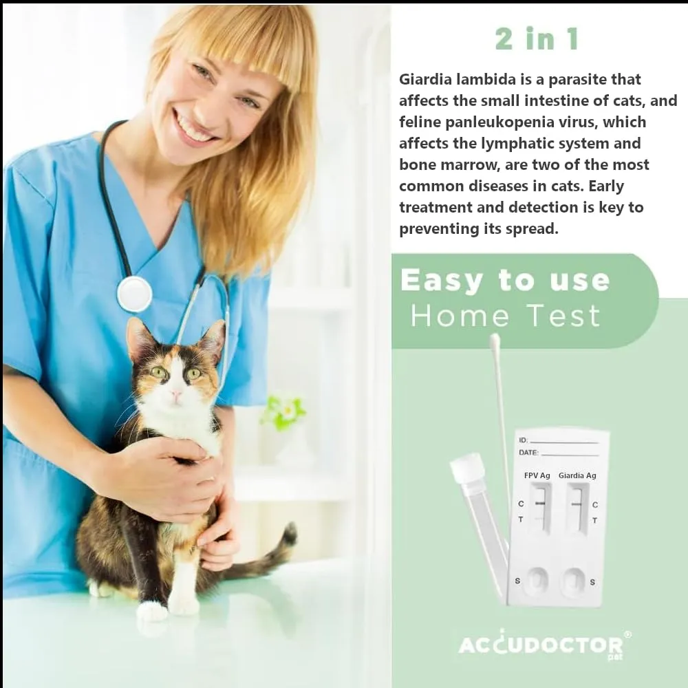 2X AccuDoctor Test Rapido Gatto FPV Panleucopenia Felina + Giardia Lamblia – Kit da Feci per Gatti, Test Rapidi per Giardiasi e Panleucopenia, Esame Feci Gatto, Diagnosi Malattie Intestinali 2 Test - immagine 2