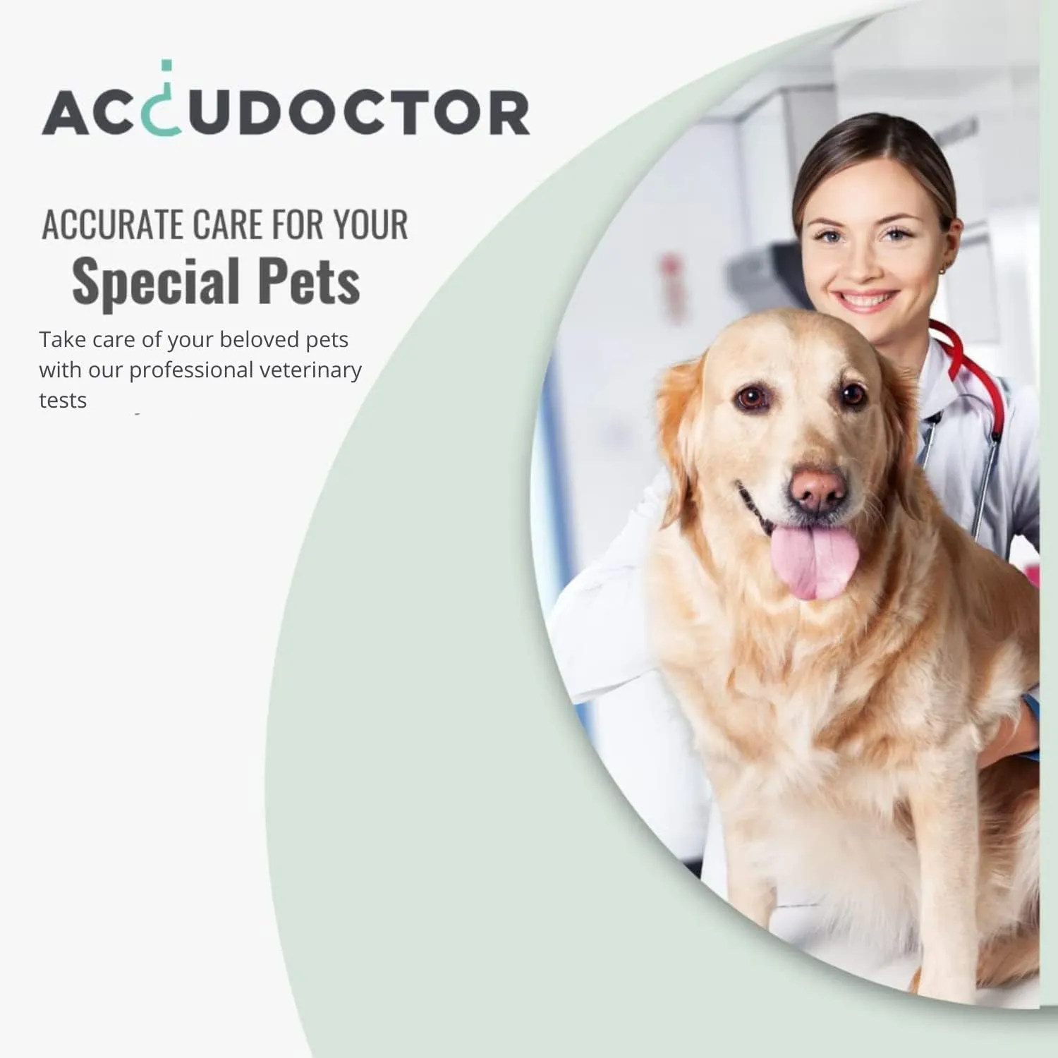 2X AccuDoctor Test Rapido Gatto FPV Panleucopenia Felina + Giardia Lamblia – Kit da Feci per Gatti, Test Rapidi per Giardiasi e Panleucopenia, Esame Feci Gatto, Diagnosi Malattie Intestinali 2 Test - immagine 5