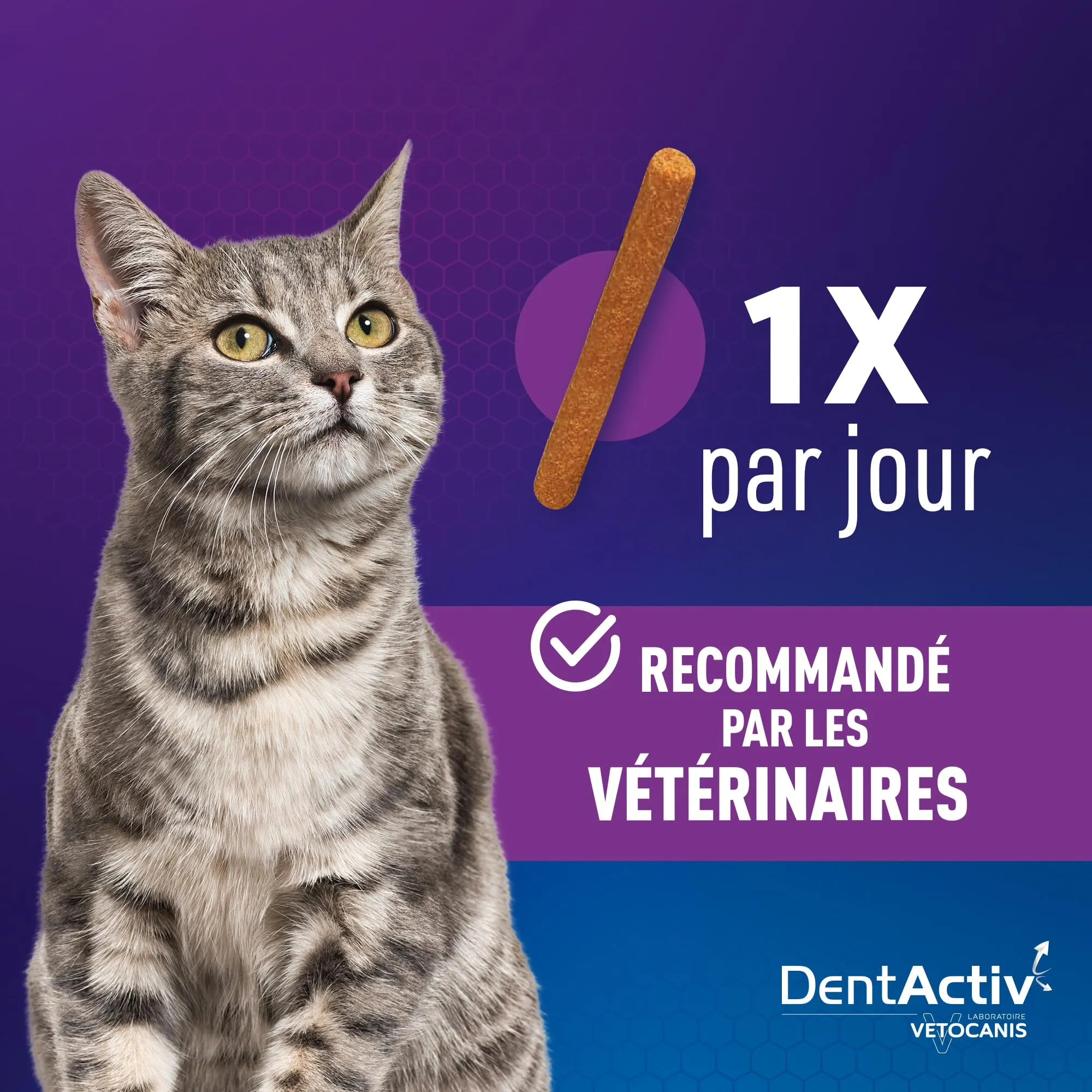 Vetocanis | Dentactiv | Stick Dentistico Gatto | Dolcetti per gatti | Igiene e Salute del Gatto | Ricco di Carne & Pesce| 55% Pollo 26% Salmone | Consigliato dai Veterinari | Sistema anti-placca - immagine 7