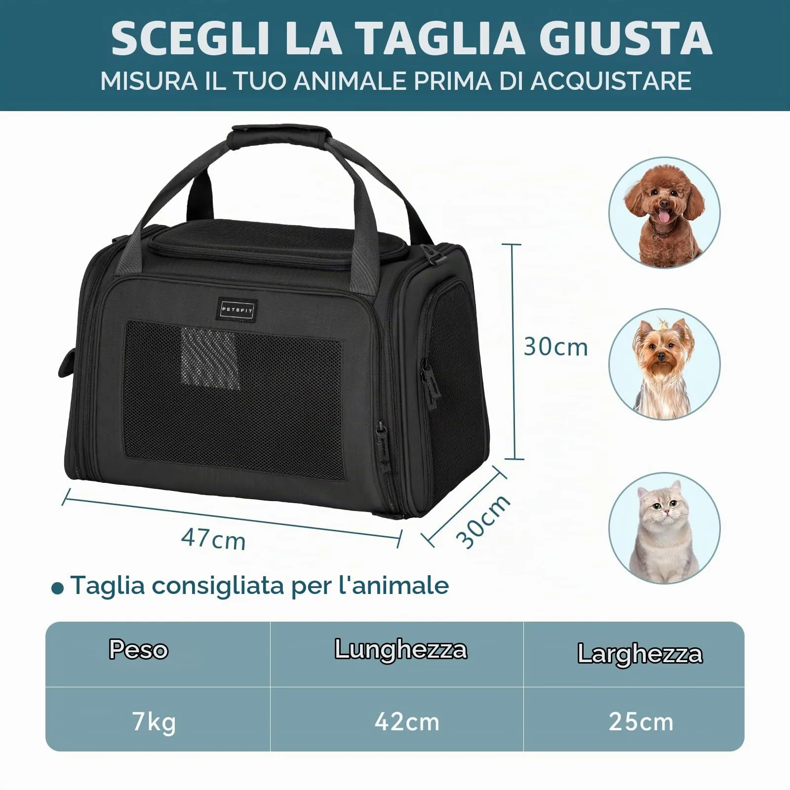 Petsfit Trasportino per gatti con cuscino espandibile, trasportino per cani in tessuto Oxford di alta qualità, leggero con tracolla, Nero - immagine 6