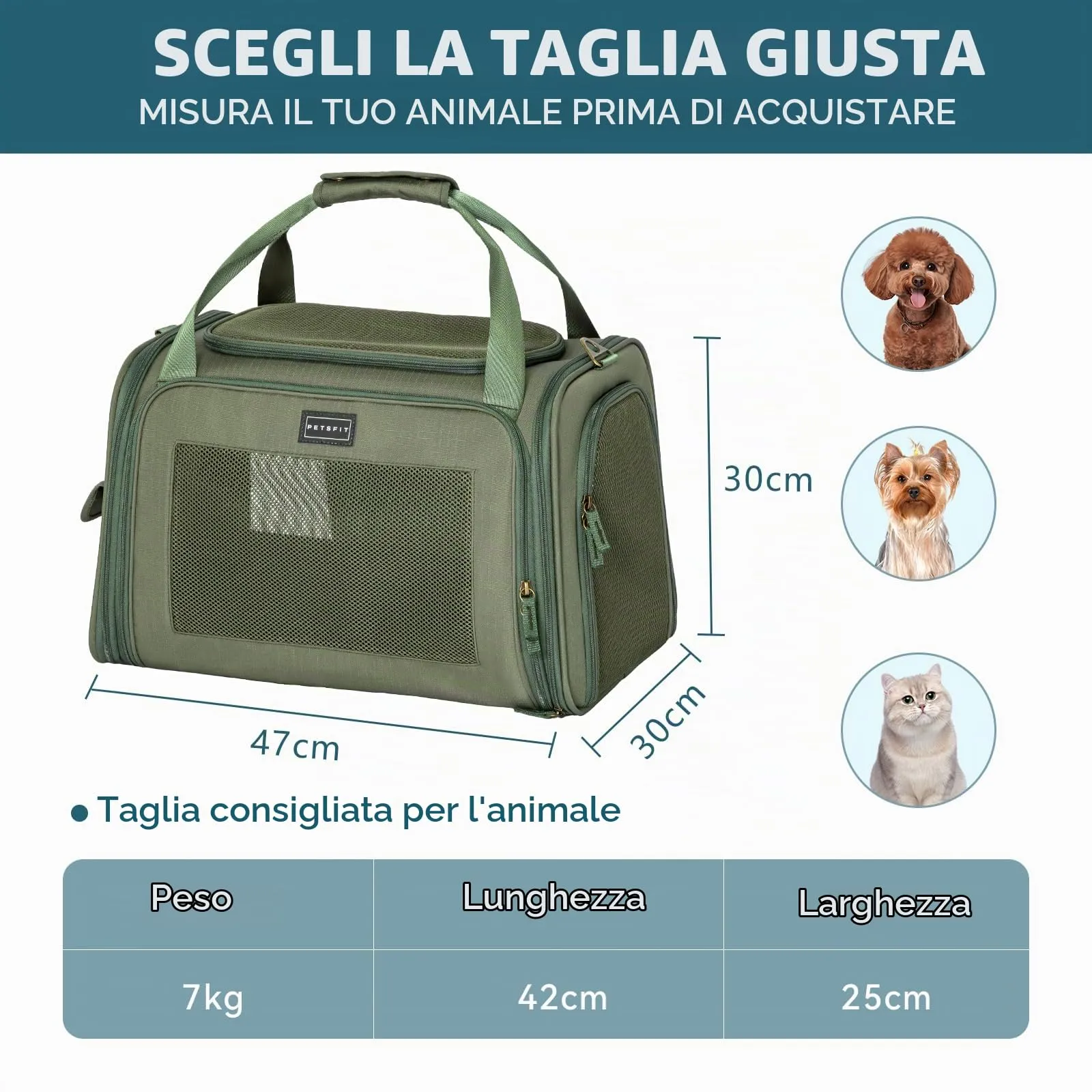 Petsfit Trasportino per gatti con cuscino espandibile, trasportino per cani in tessuto Oxford di alta qualità, leggero con tracolla, Verde - immagine 6