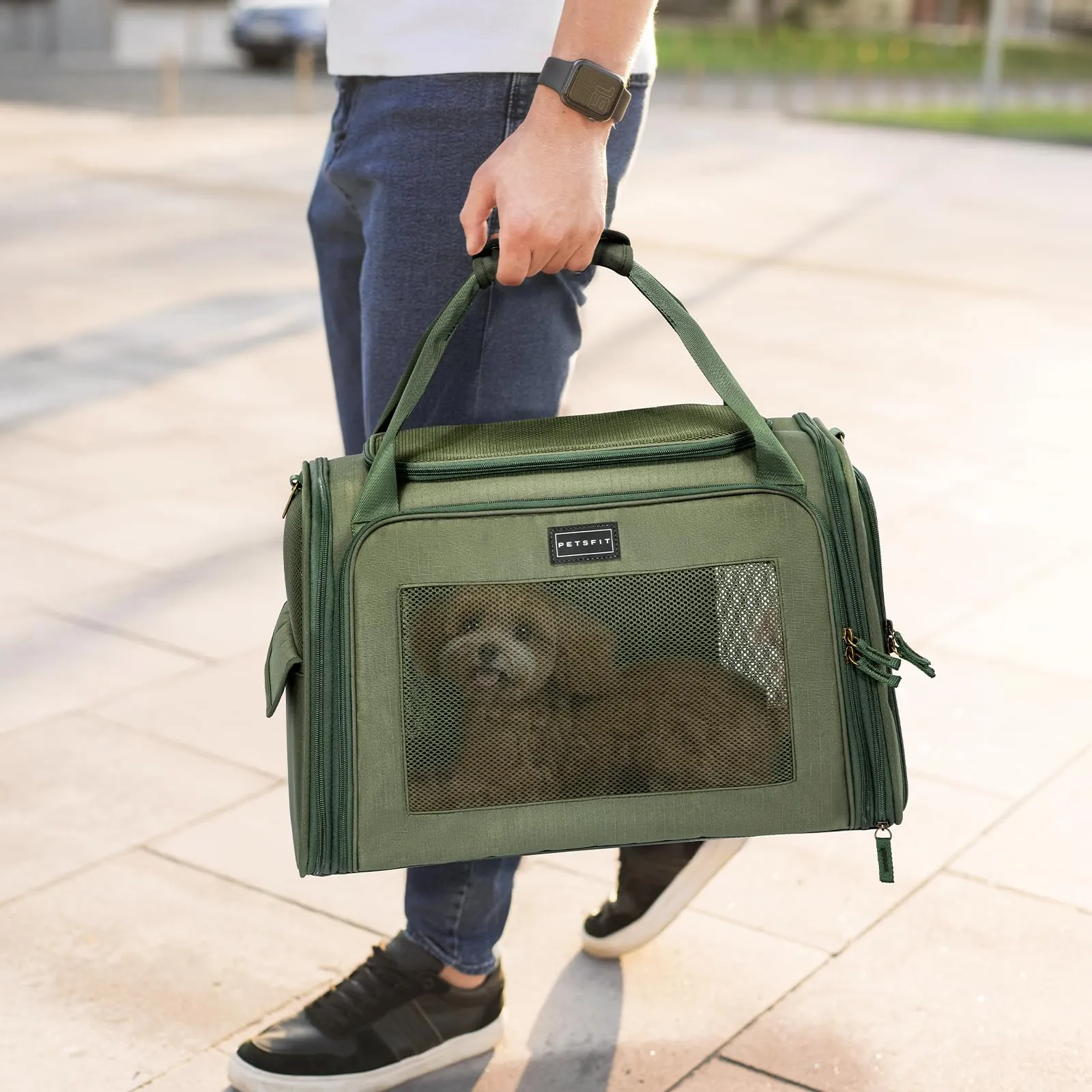 Petsfit Trasportino per gatti con cuscino espandibile, trasportino per cani in tessuto Oxford di alta qualità, leggero con tracolla, Verde - immagine 7