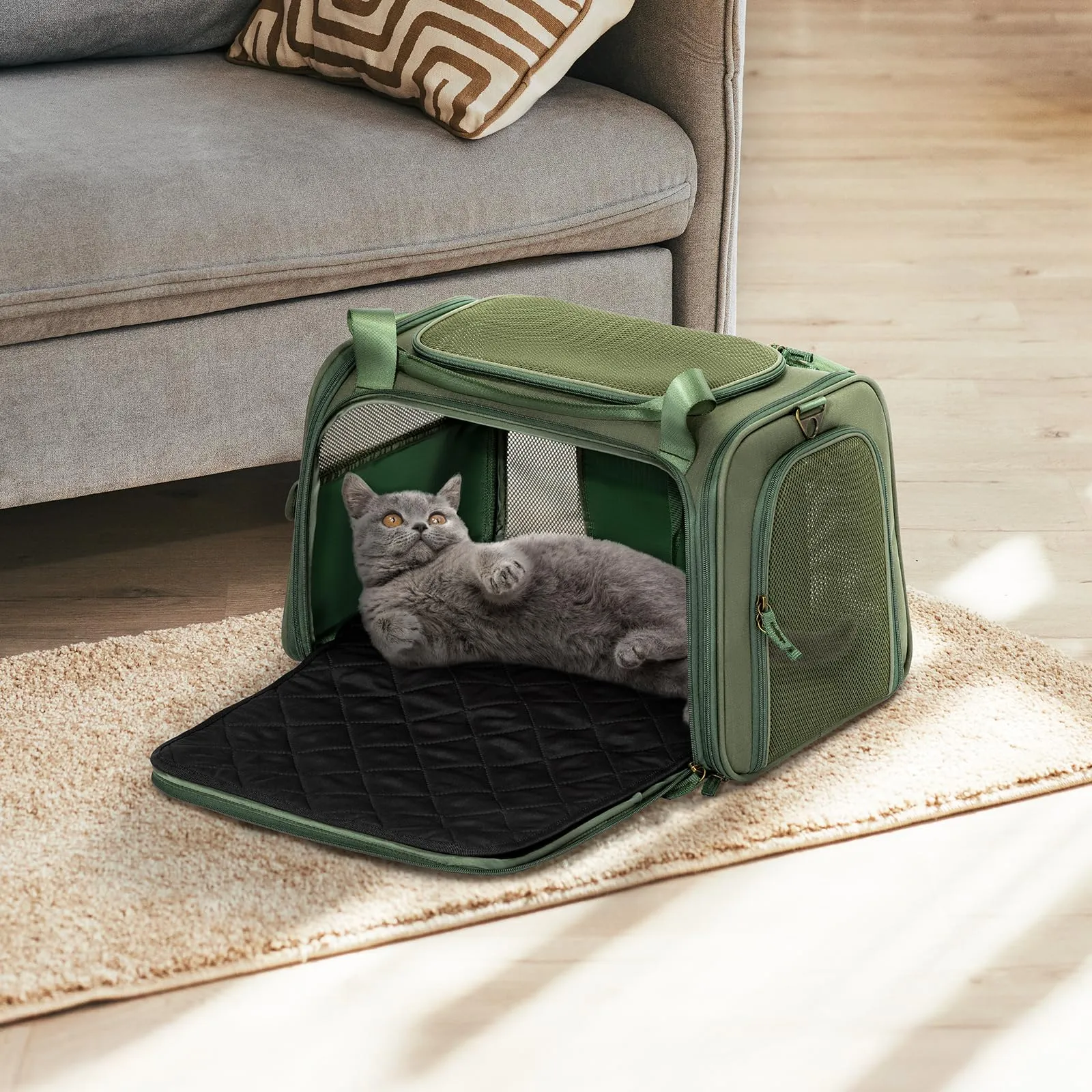 Petsfit Trasportino per gatti con cuscino espandibile, trasportino per cani in tessuto Oxford di alta qualità, leggero con tracolla, Verde - immagine 8