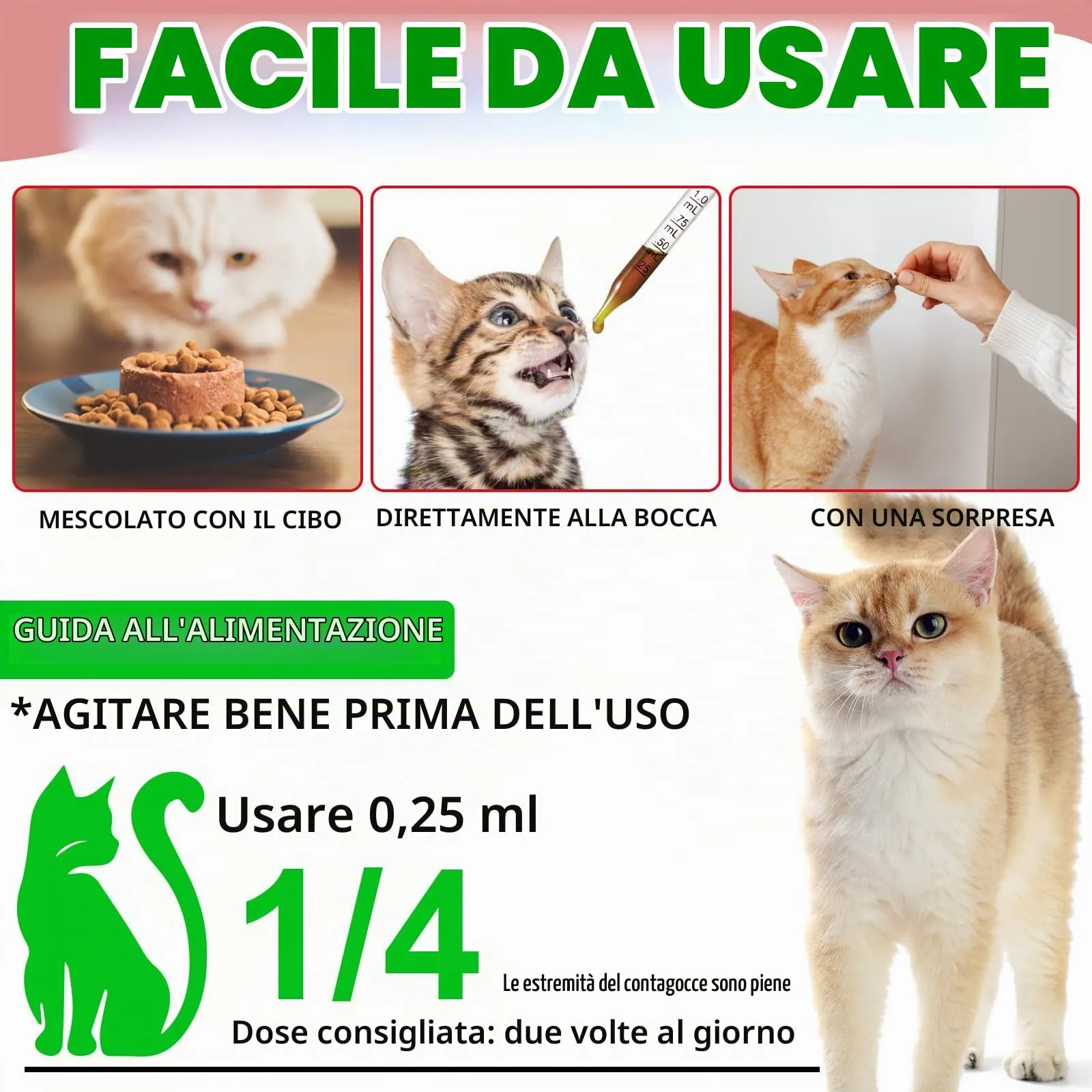 Gocce Di Trattamento Dell'Infezione Urinaria Del Gatto,2 Fl Oz Gocce Di Riparazione Dell'Uti Del Gatto Sostiene La Vescica,Pietra Renale, Salute Per La Cura Delle Urine Per I Gatti (1 Bottiglia) - immagine 7