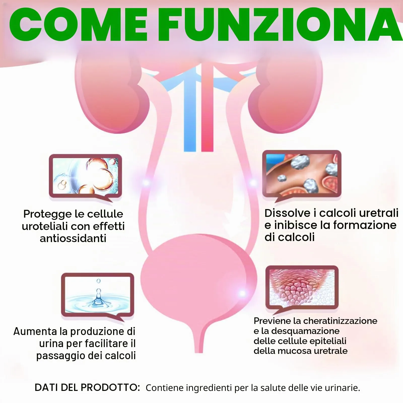 Gocce Di Trattamento Dell'Infezione Urinaria Del Gatto,2 Fl Oz Gocce Di Riparazione Dell'Uti Del Gatto Sostiene La Vescica,Pietra Renale, Salute Per La Cura Delle Urine Per I Gatti (1 Bottiglia) - immagine 9