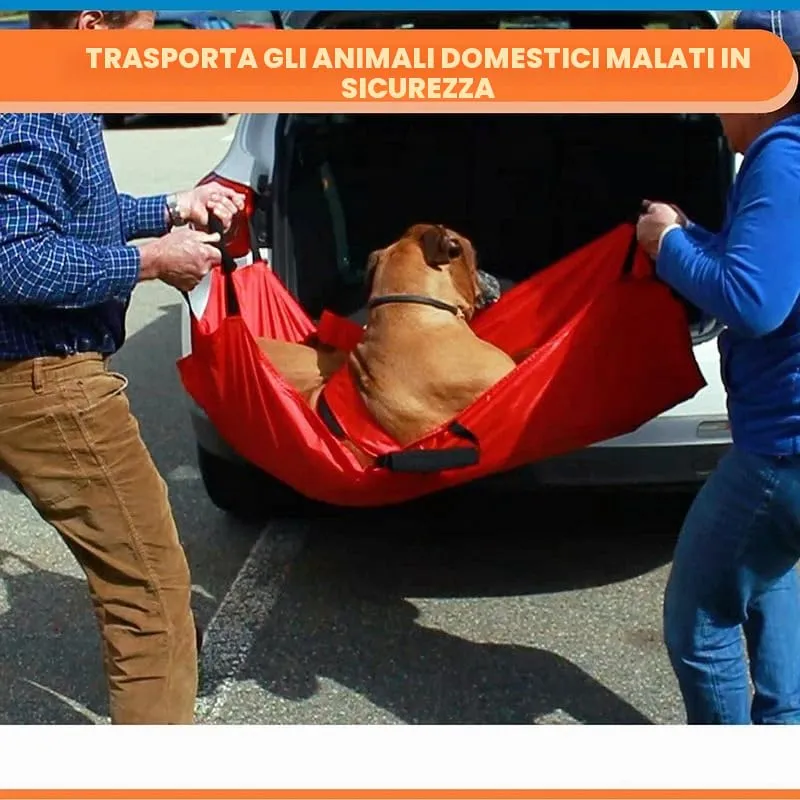 Barella Per Il Trasporto Di Cani, Trasportino Di Emergenza Per Animali Con Cinghia Di Sicurezza, Telo Scorrevole Per Aiuti con Cintura di Sicurezza, 6 Manici (Rosso) - immagine 4