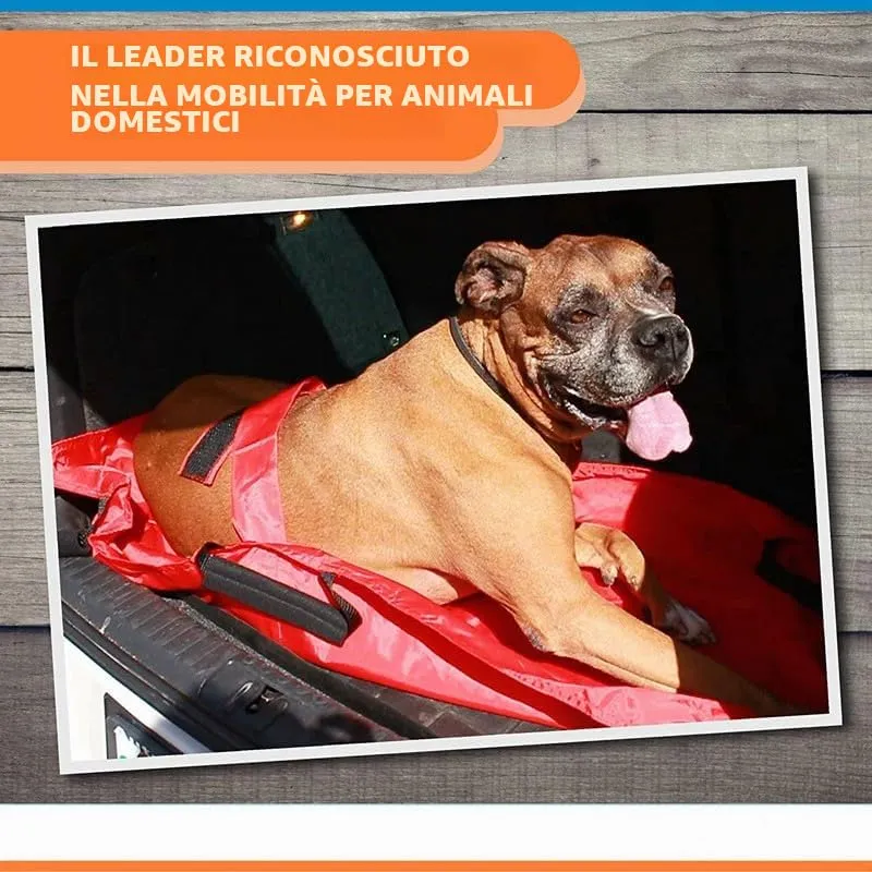 Barella Per Il Trasporto Di Cani, Trasportino Di Emergenza Per Animali Con Cinghia Di Sicurezza, Telo Scorrevole Per Aiuti con Cintura di Sicurezza, 6 Manici (Rosso) - immagine 6