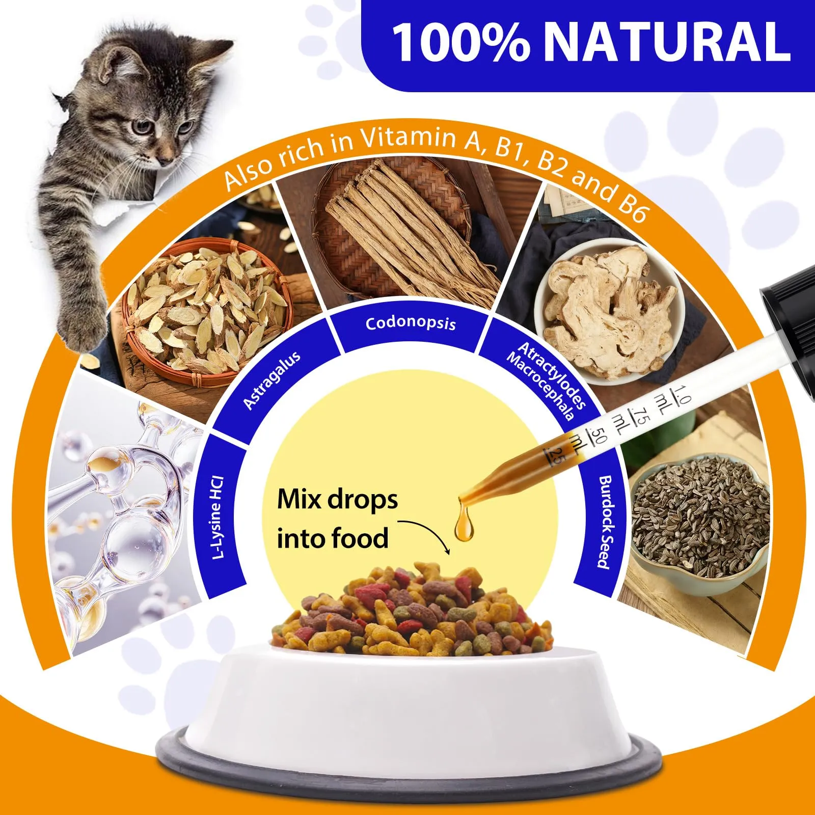 Goccia Lysin per gatti 60ml, supporto immunitario per gatti, L-Lysin per Gatti, starnutrizione, naso che scorre, raffreddore, funzione degli occhi - immagine 2