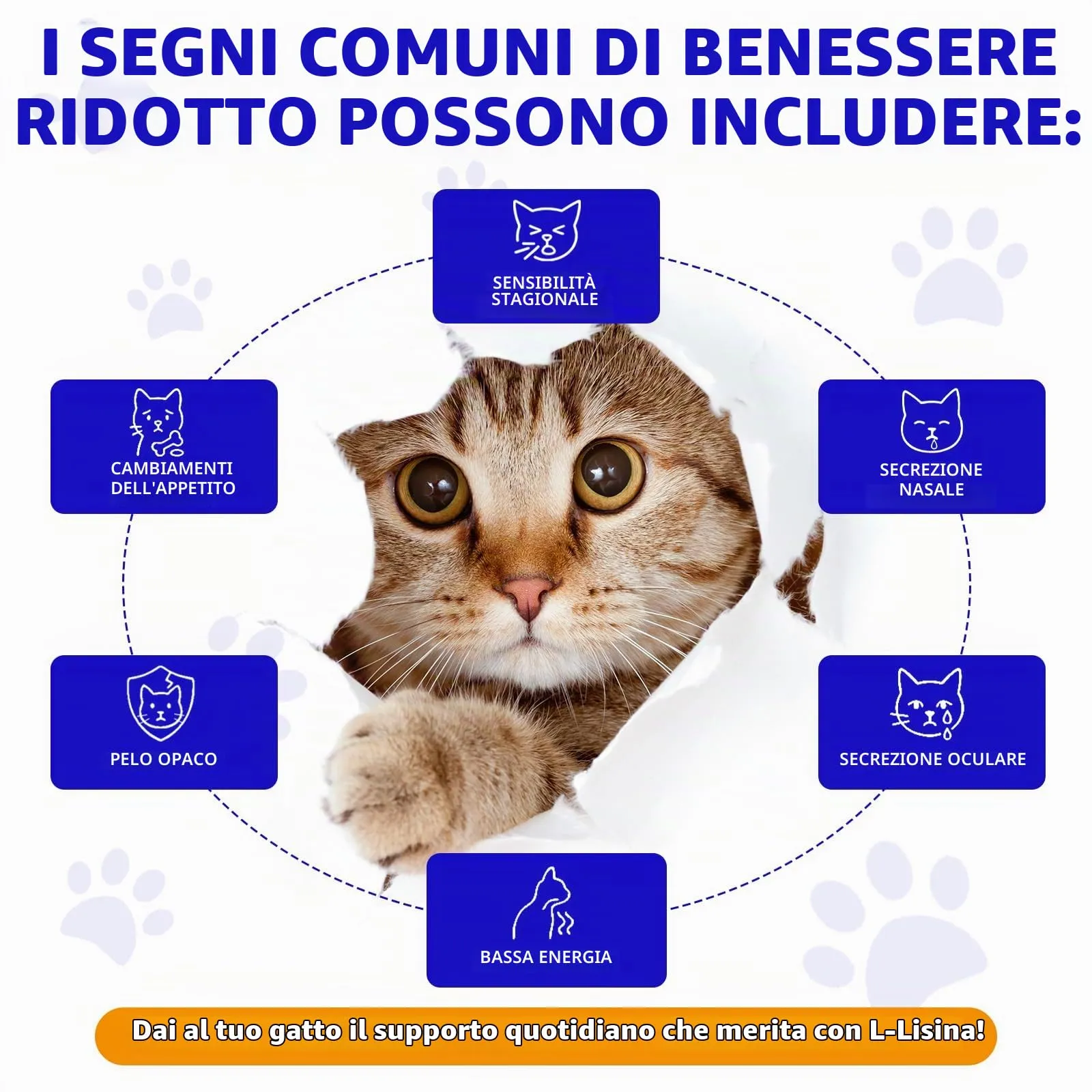 Goccia Lysin per gatti 60ml, supporto immunitario per gatti, L-Lysin per Gatti, starnutrizione, naso che scorre, raffreddore, funzione degli occhi - immagine 3