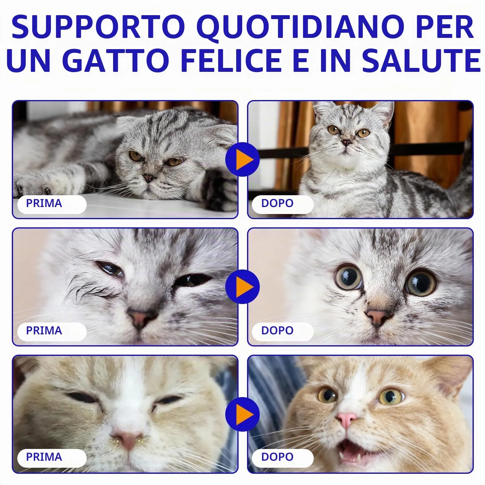 Goccia Lysin per gatti 60ml, supporto immunitario per gatti, L-Lysin per Gatti, starnutrizione, naso che scorre, raffreddore, funzione degli occhi - immagine 7