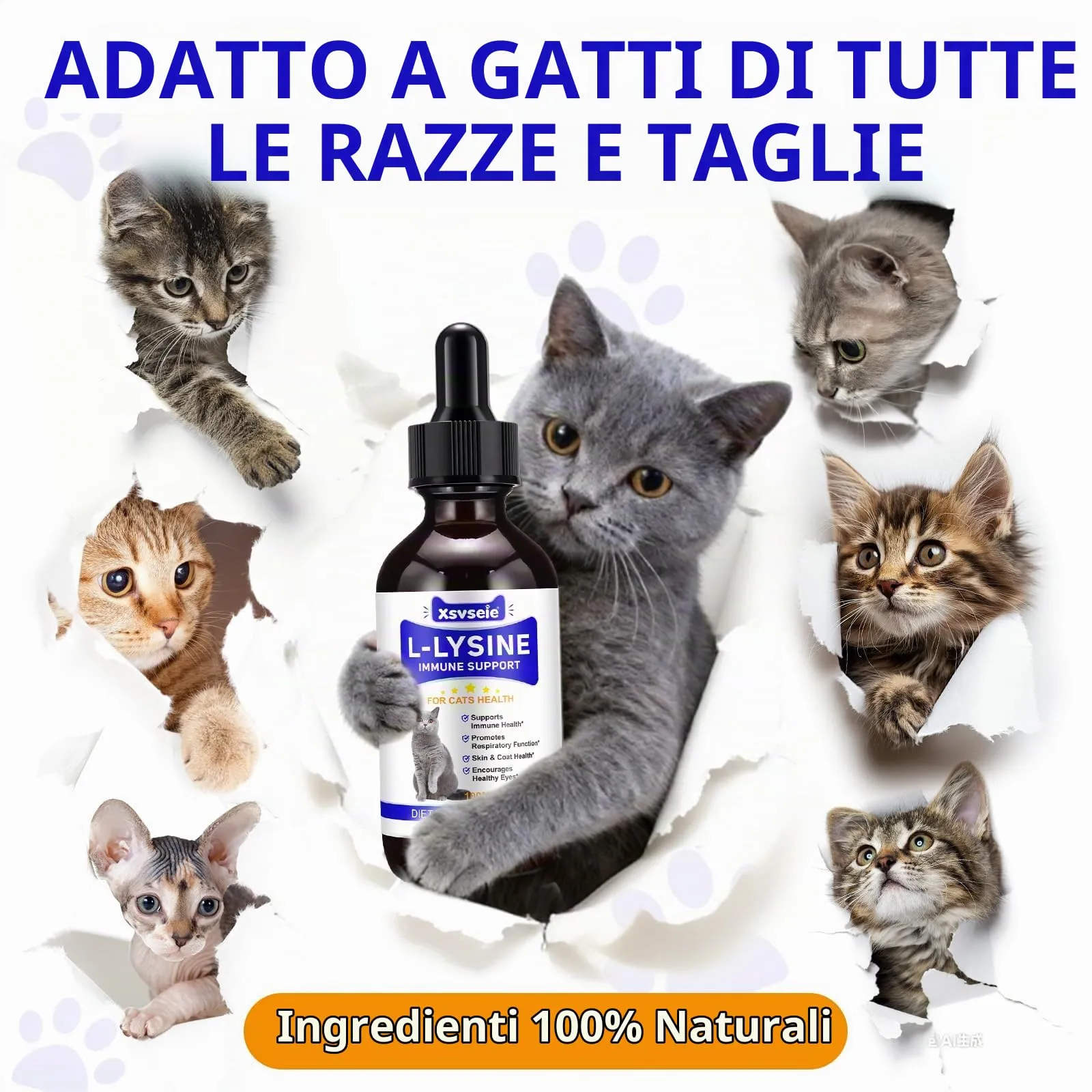 Goccia Lysin per gatti 60ml, supporto immunitario per gatti, L-Lysin per Gatti, starnutrizione, naso che scorre, raffreddore, funzione degli occhi - immagine 9
