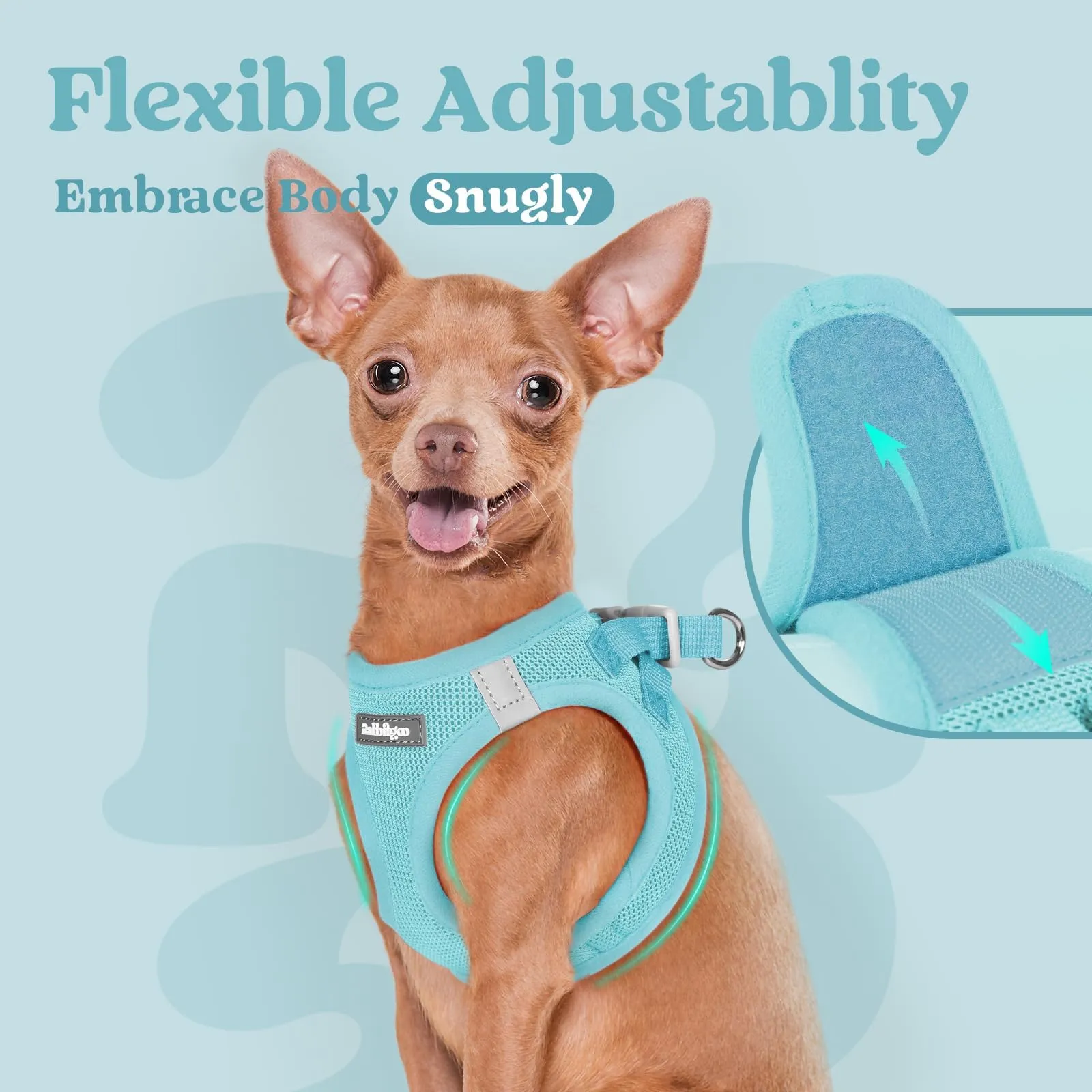 rabbitgoo Pettorina Cane Taglia Piccola, Leggero e Morbido, Blu Menta XXS - immagine 8