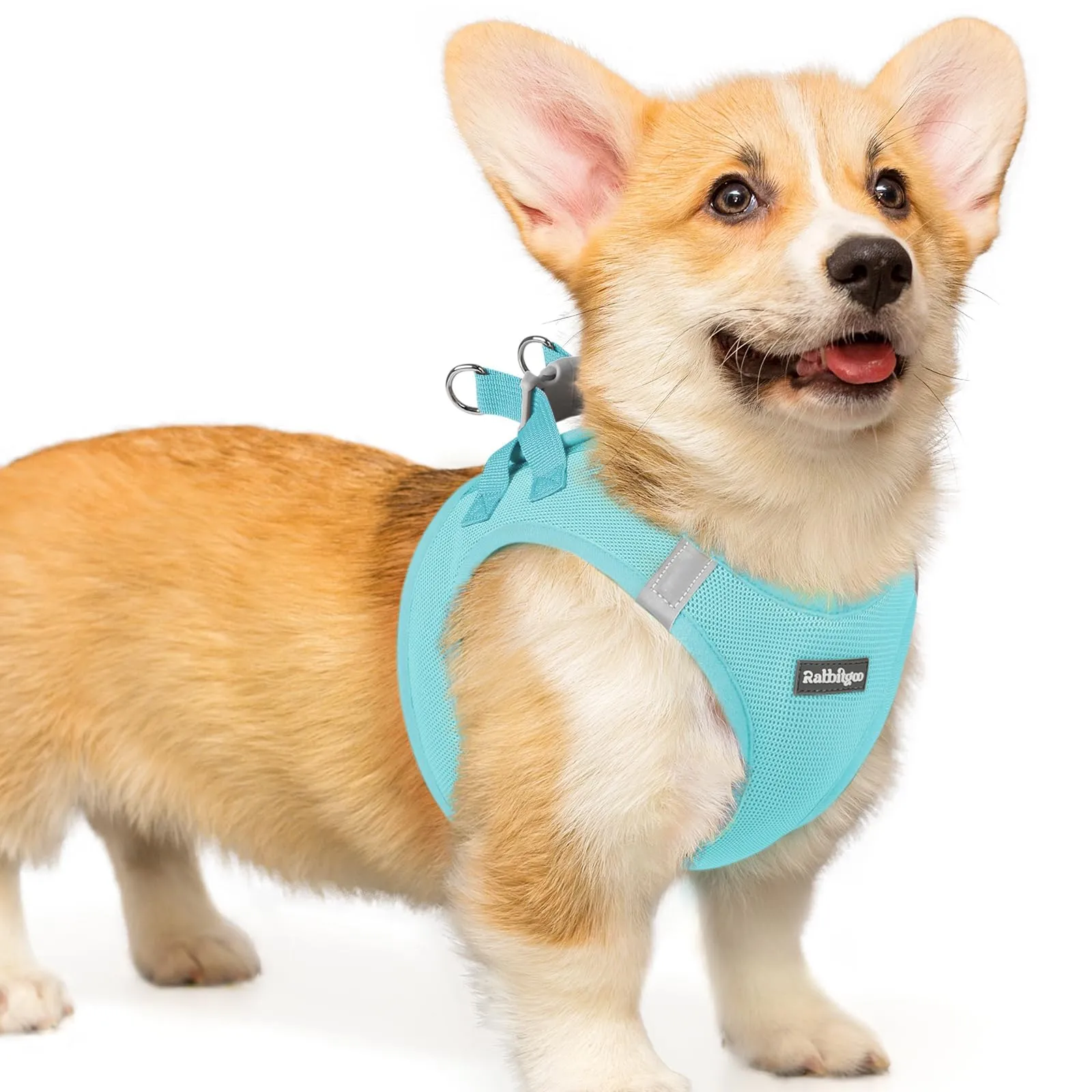 rabbitgoo Pettorina Cane Taglia Piccola, Leggero e Morbido, Blu Menta L - immagine 1