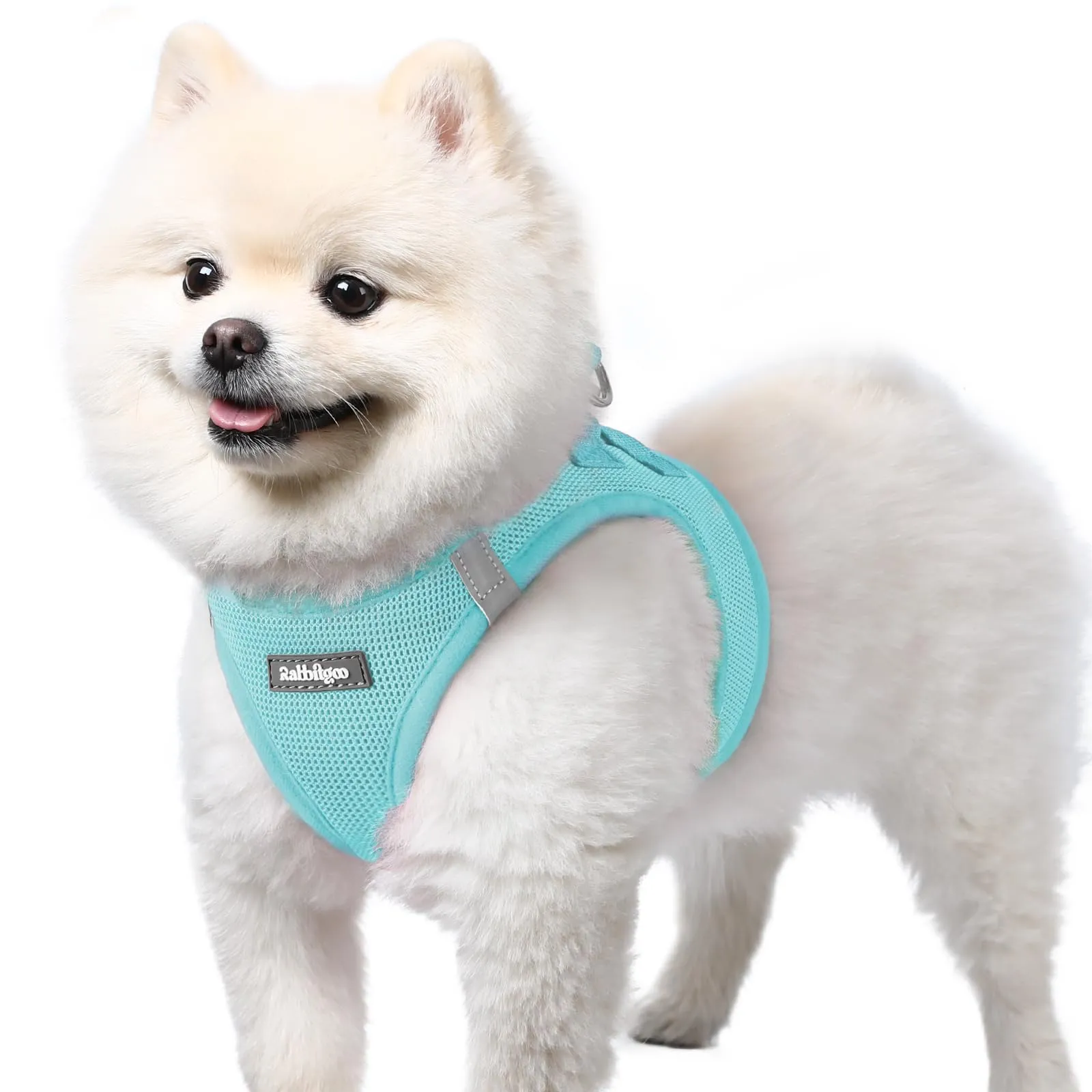 rabbitgoo Pettorina Cane Taglia Piccola, Leggero e Morbido, Blu Menta S - immagine 1