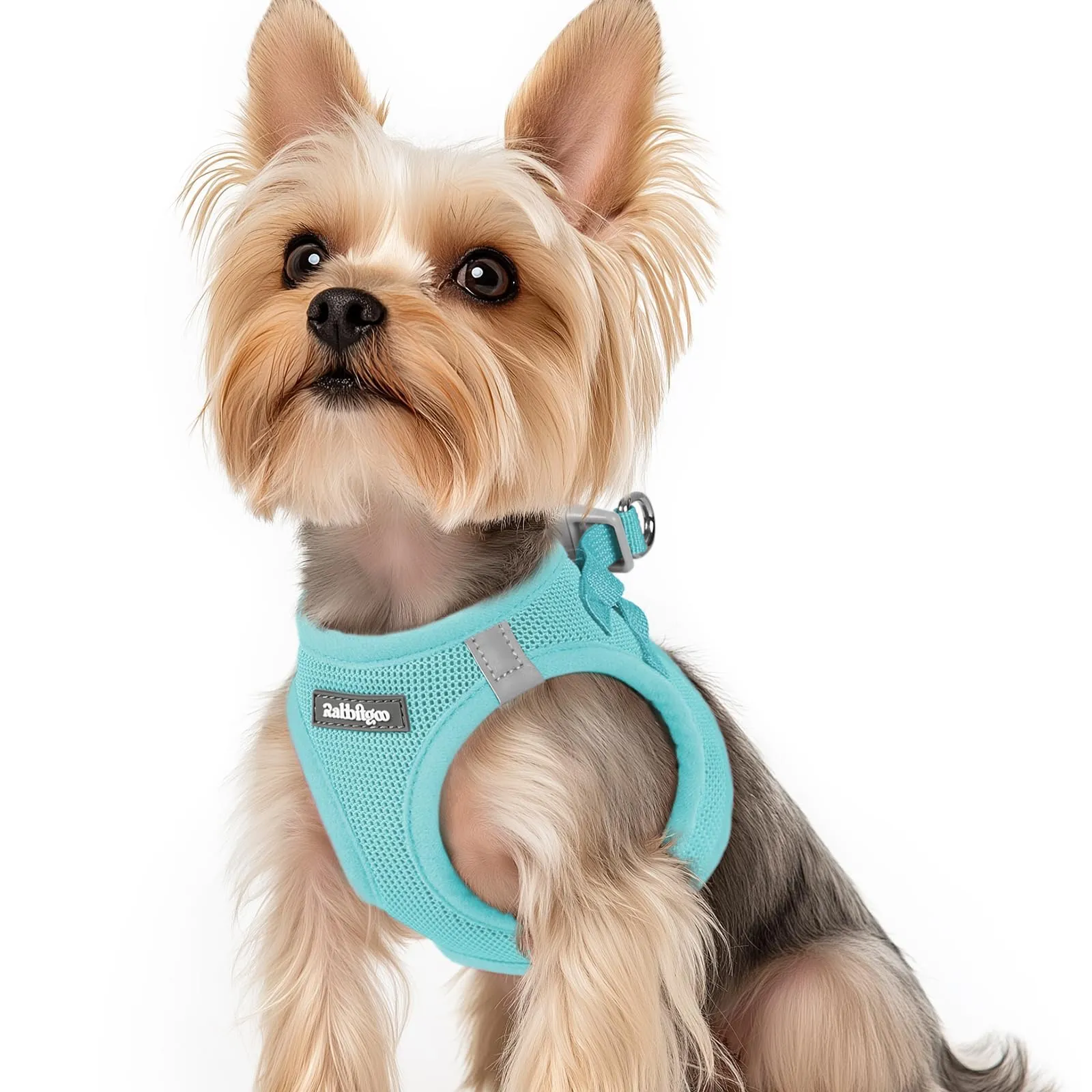 rabbitgoo Pettorina Cane Taglia Piccola, Leggero e Morbido, Blu Menta XS - immagine 1