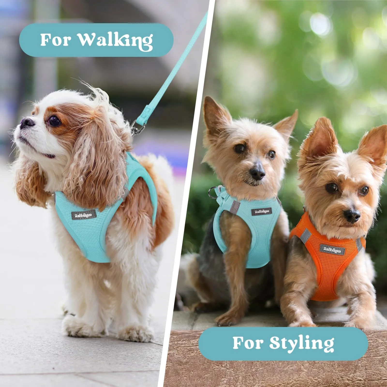 rabbitgoo Pettorina Cane Taglia Piccola, Leggero e Morbido, Blu Menta XS - immagine 9