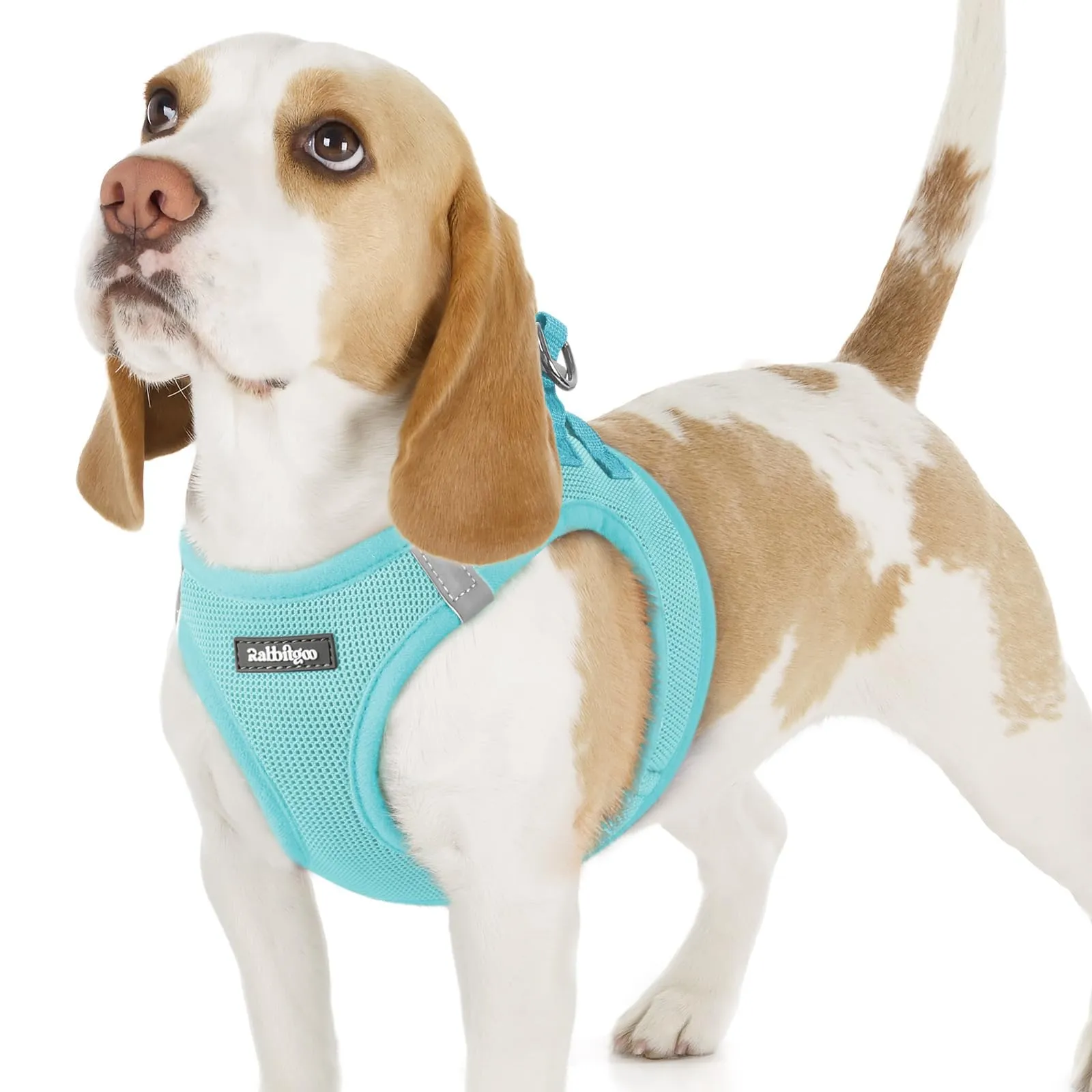 rabbitgoo Pettorina Cane Taglia Piccola, Leggero e Morbido, Blu Menta M - immagine 1