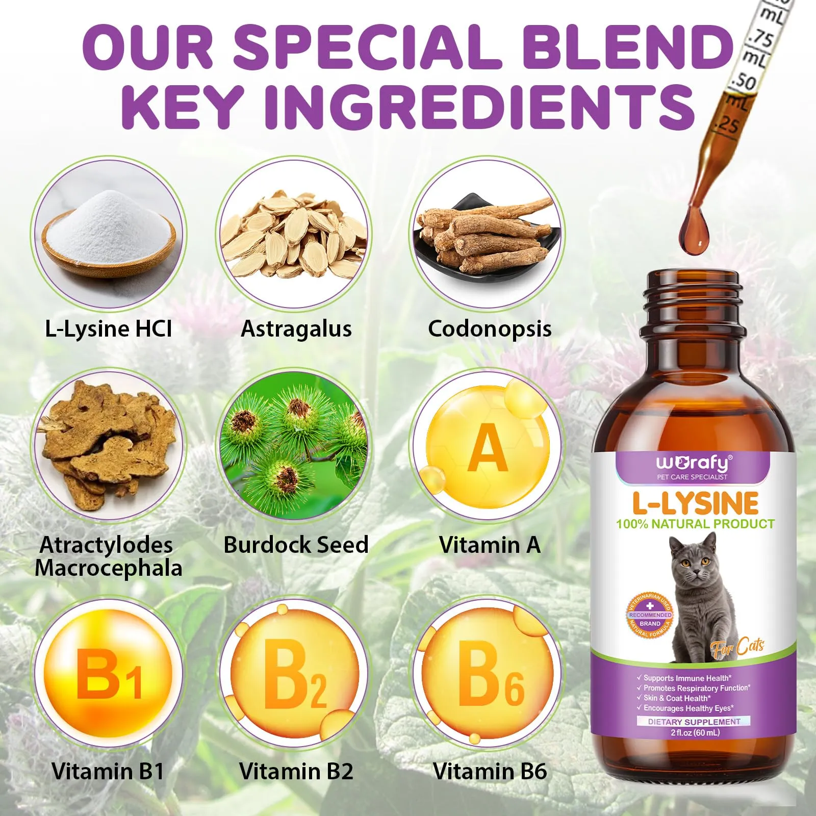 L-Lisina per Gatti - Integratore Liquido di L-Lisina per Gatti e Gattini 60ml, Supporto Immunitario e Benessere Respiratorio, Gusto Pollo - immagine 2