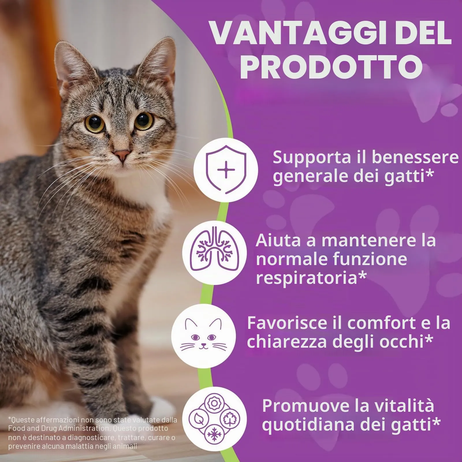 L-Lisina per Gatti - Integratore Liquido di L-Lisina per Gatti e Gattini 60ml, Supporto Immunitario e Benessere Respiratorio, Gusto Pollo - immagine 3