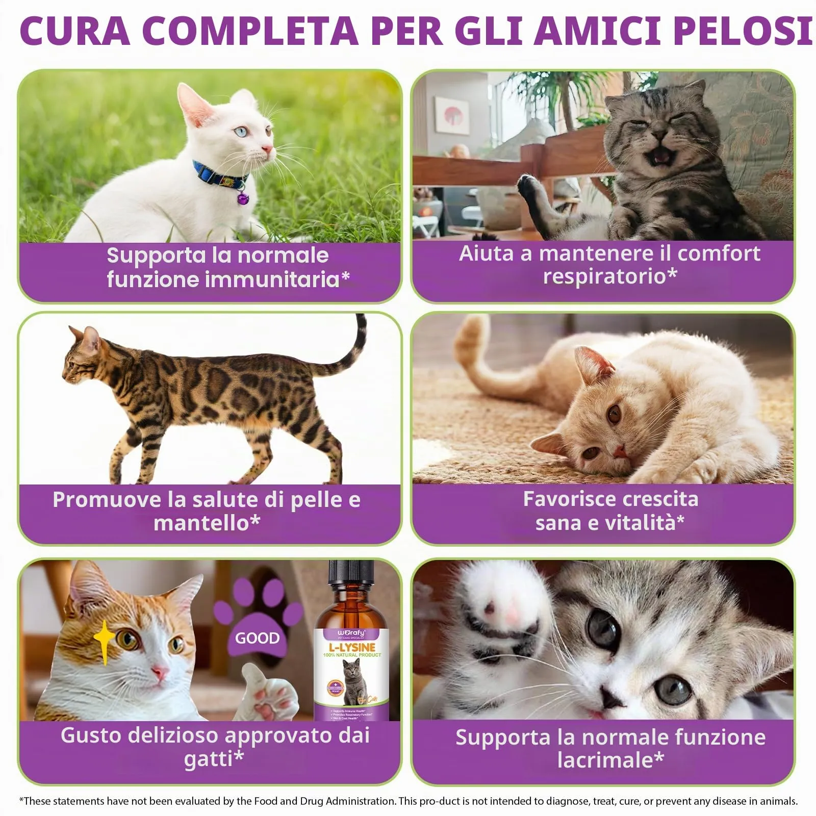 L-Lisina per Gatti - Integratore Liquido di L-Lisina per Gatti e Gattini 60ml, Supporto Immunitario e Benessere Respiratorio, Gusto Pollo - immagine 6