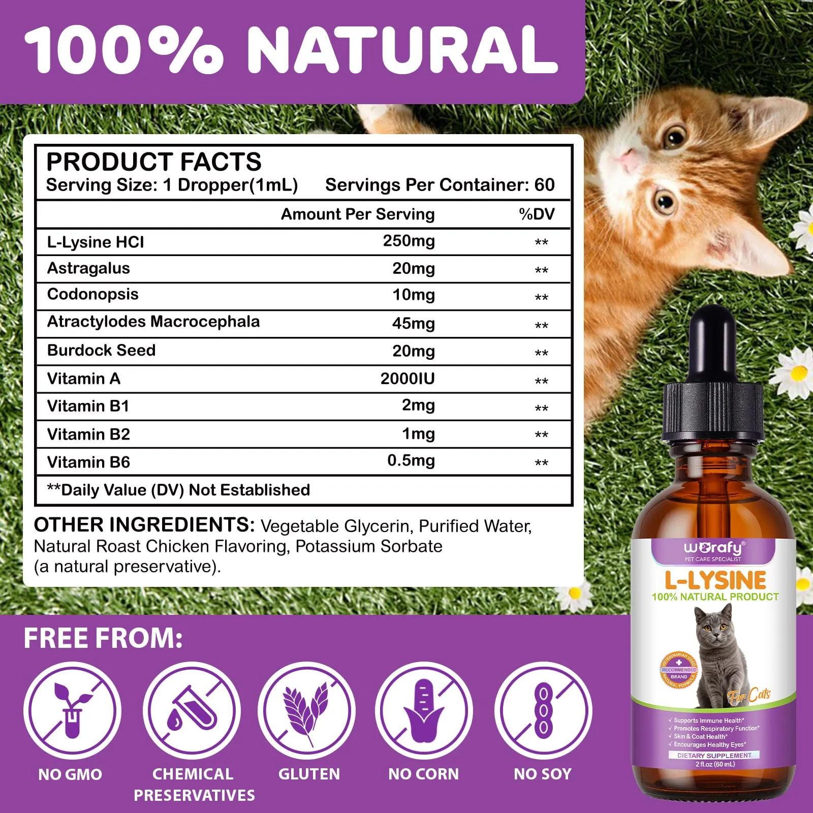 L-Lisina per Gatti - Integratore Liquido di L-Lisina per Gatti e Gattini 60ml, Supporto Immunitario e Benessere Respiratorio, Gusto Pollo - immagine 8