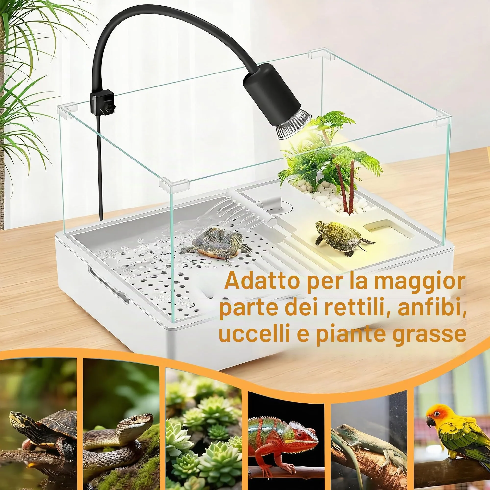 Frogetu Lampada UVA UVB per Tartarughe (Cycle Timer), Lampada Termica per Tartarughe, Lampadine 25W+50W Regolabili a 360° lampada per Anfibi Adatto per Tartaruga, Ragno, Lucertola, Serpente, Anfibi - immagine 5