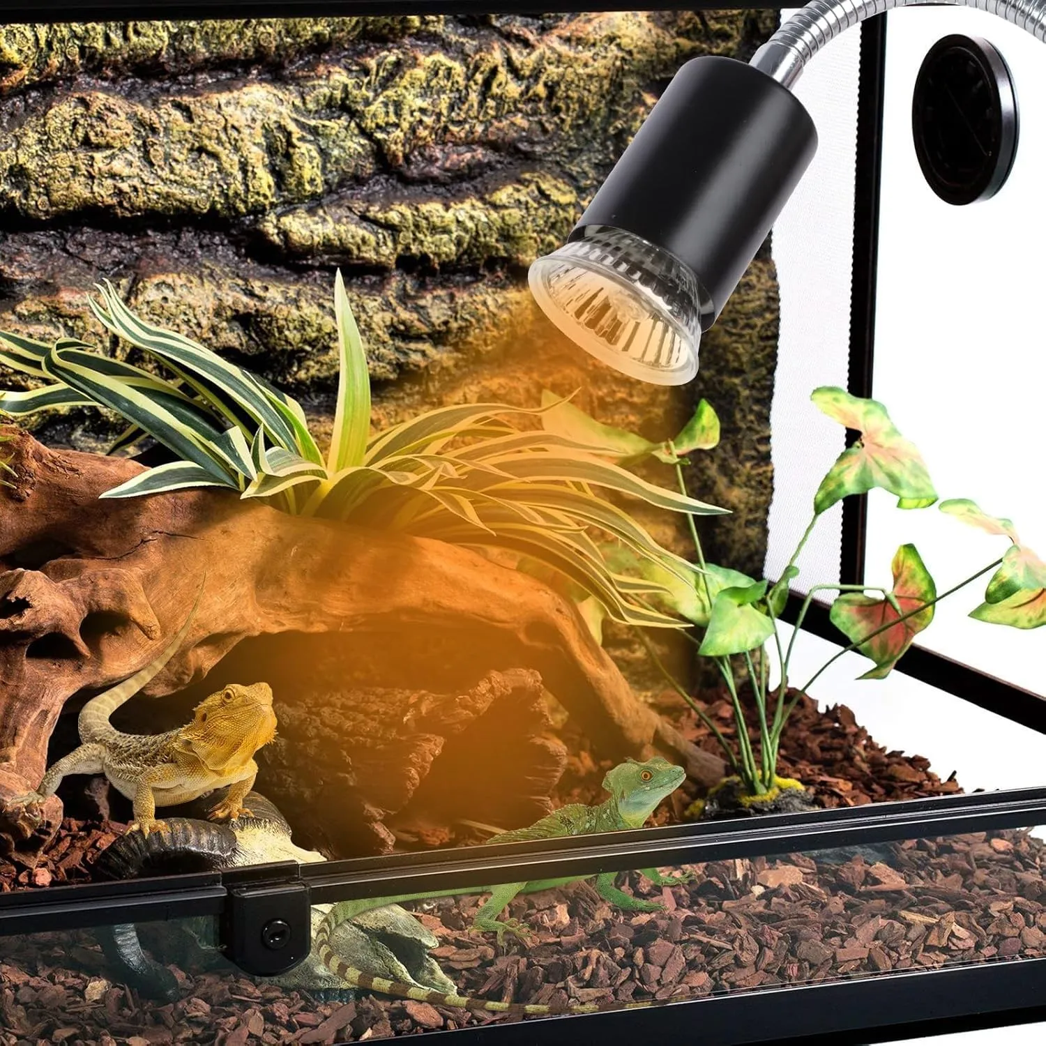 Frogetu Lampada UVA UVB per Tartarughe (Cycle Timer), Lampada Termica per Tartarughe, Lampadine 25W+50W Regolabili a 360° lampada per Anfibi Adatto per Tartaruga, Ragno, Lucertola, Serpente, Anfibi - immagine 7