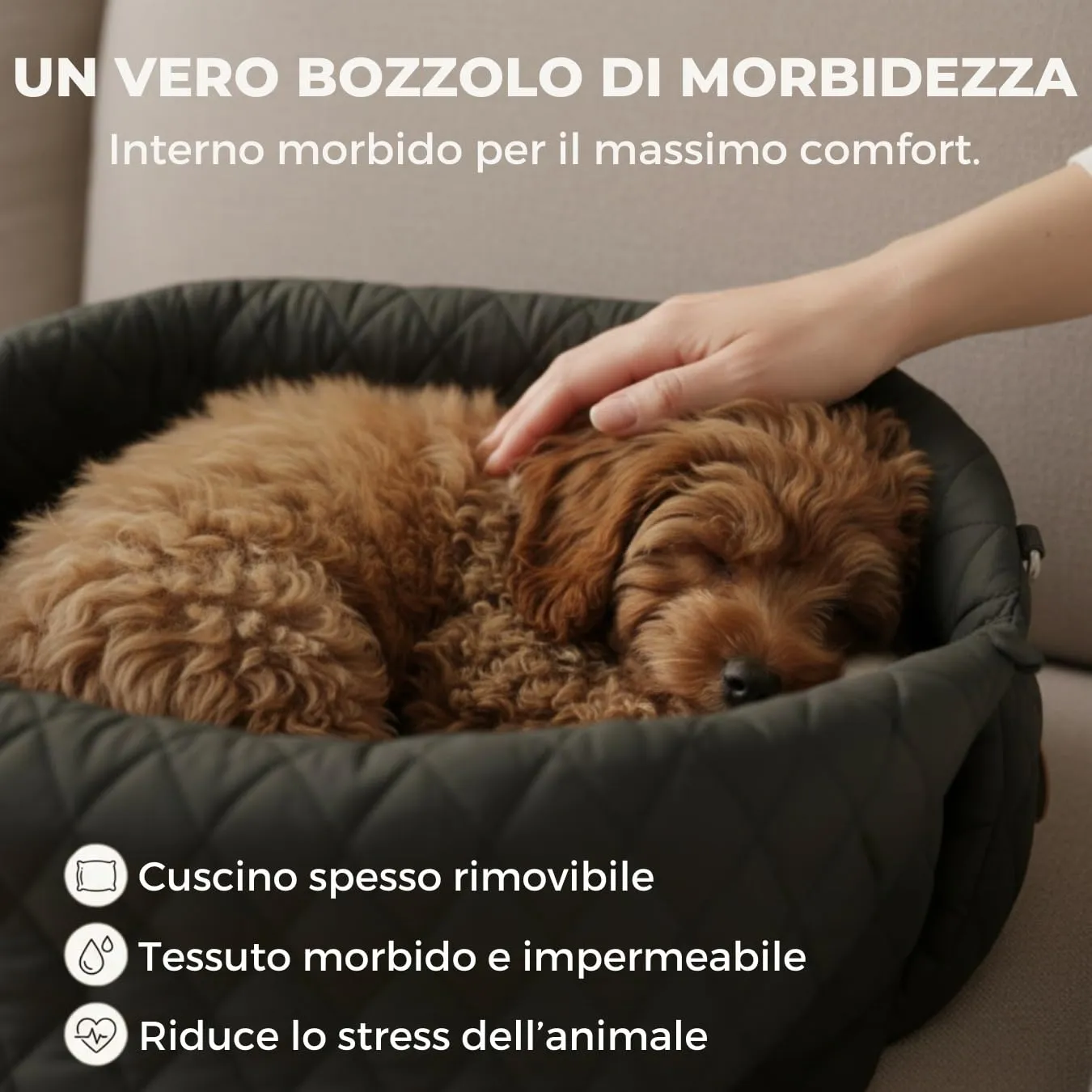 Borsa per cane piccola taglia, trasportino cani auto 3 kg, borsa chihuahua - immagine 5