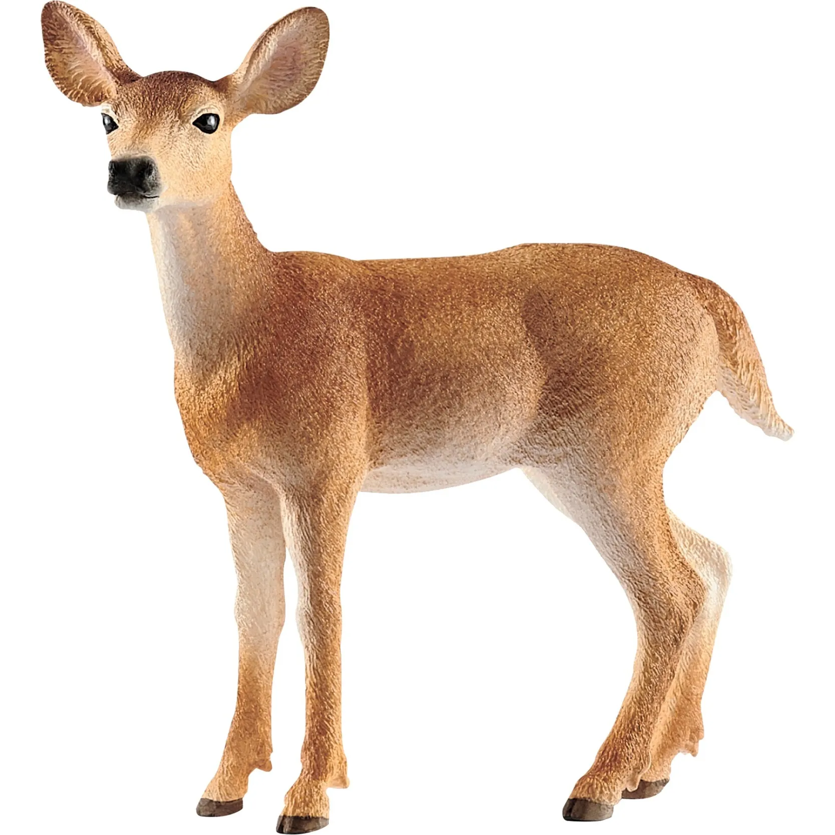WILD LIFE Cerva dalla coda bianca, Gioco figura - immagine 1
