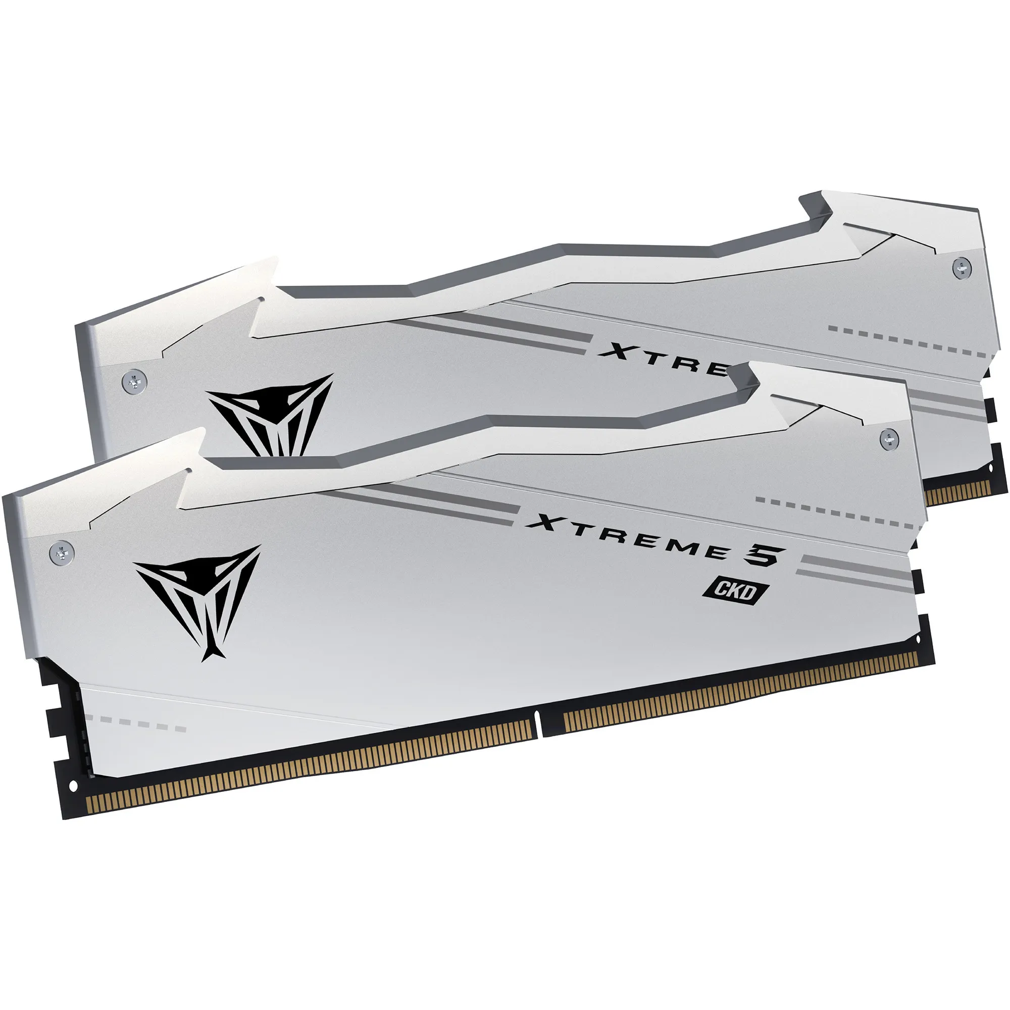 DIMM 48 GB DDR5-9600 (2x 24 GB) Kit duale, Memoria - immagine 1