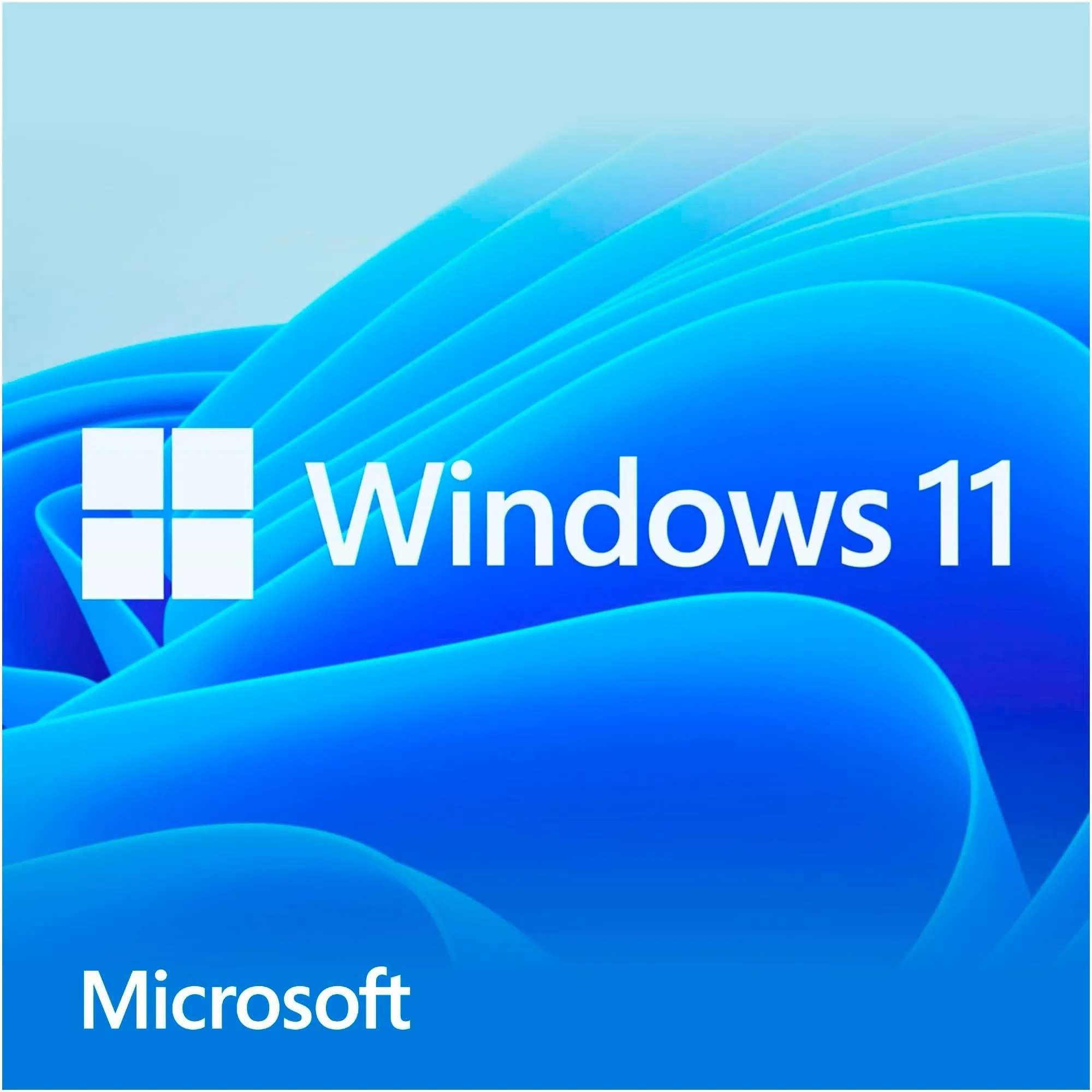 Windows 11 Home 1 licenza/e, Software - immagine 1