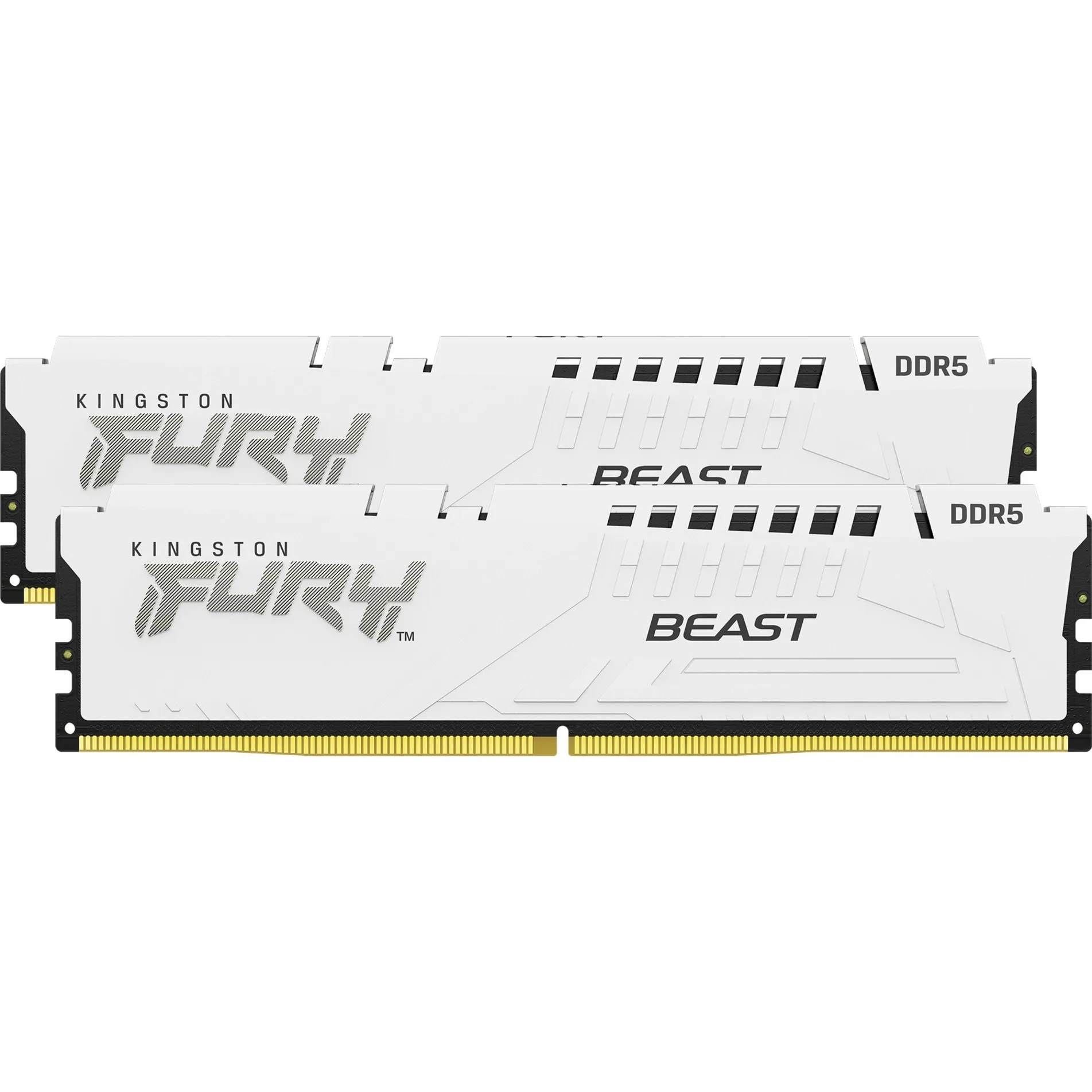 FURY Beast 32 GB 5600 MT/s DDR5 CL36 DIMM (Kit da 2) White EXPO, Memoria - immagine 1