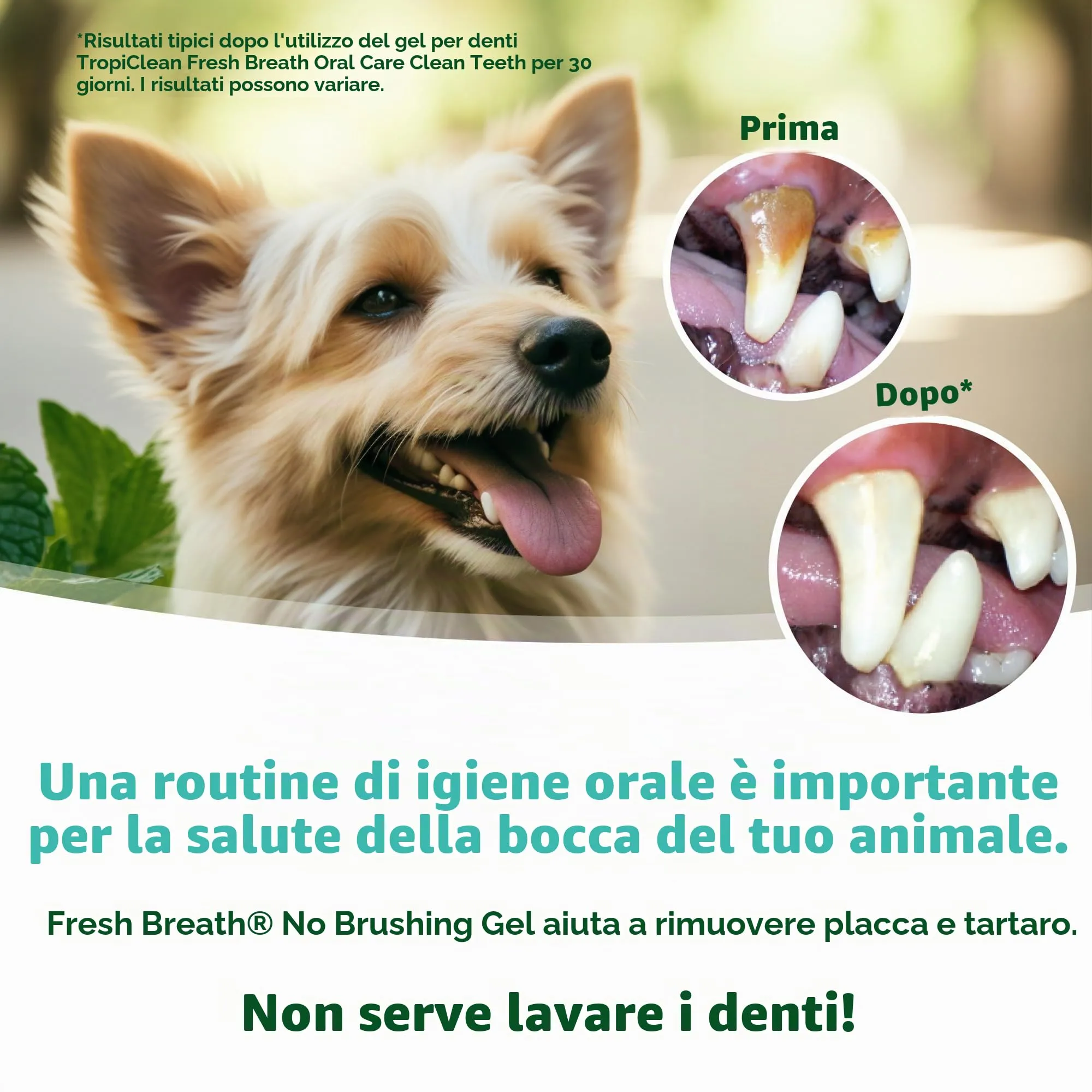 Fresh Breath by TropiClean - Gel di Igiene Dentale per Cani - Denti Puliti, Senza Spazzolare - Contro Placca & Tartaro - Original - 118 ml - immagine 5