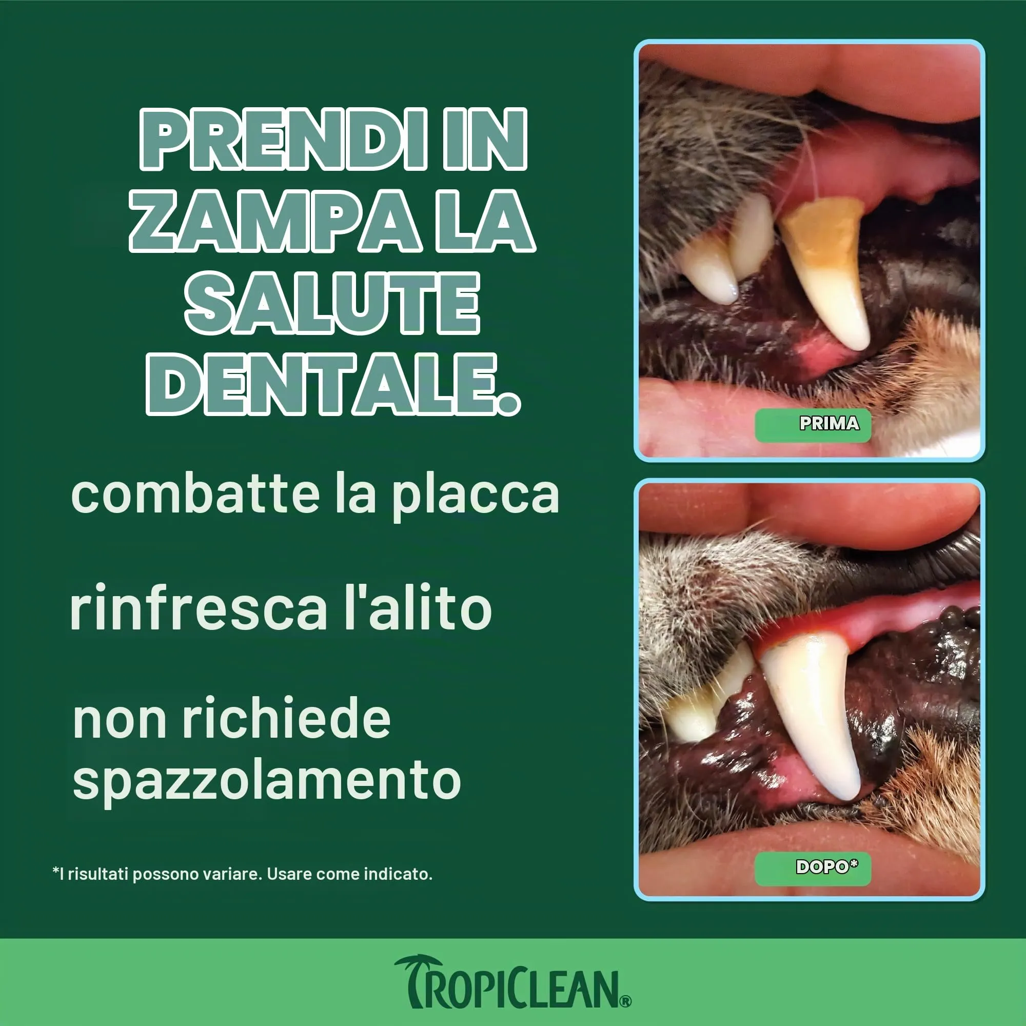 TropiClean Gel Denti Puliti per Cani | Cura dentale del cane | Dentifricio per cani | Deodorante per l'alito | Facile pulizia dei denti | Prodotto negli Stati Uniti | Flacone da 59 ml - immagine 3