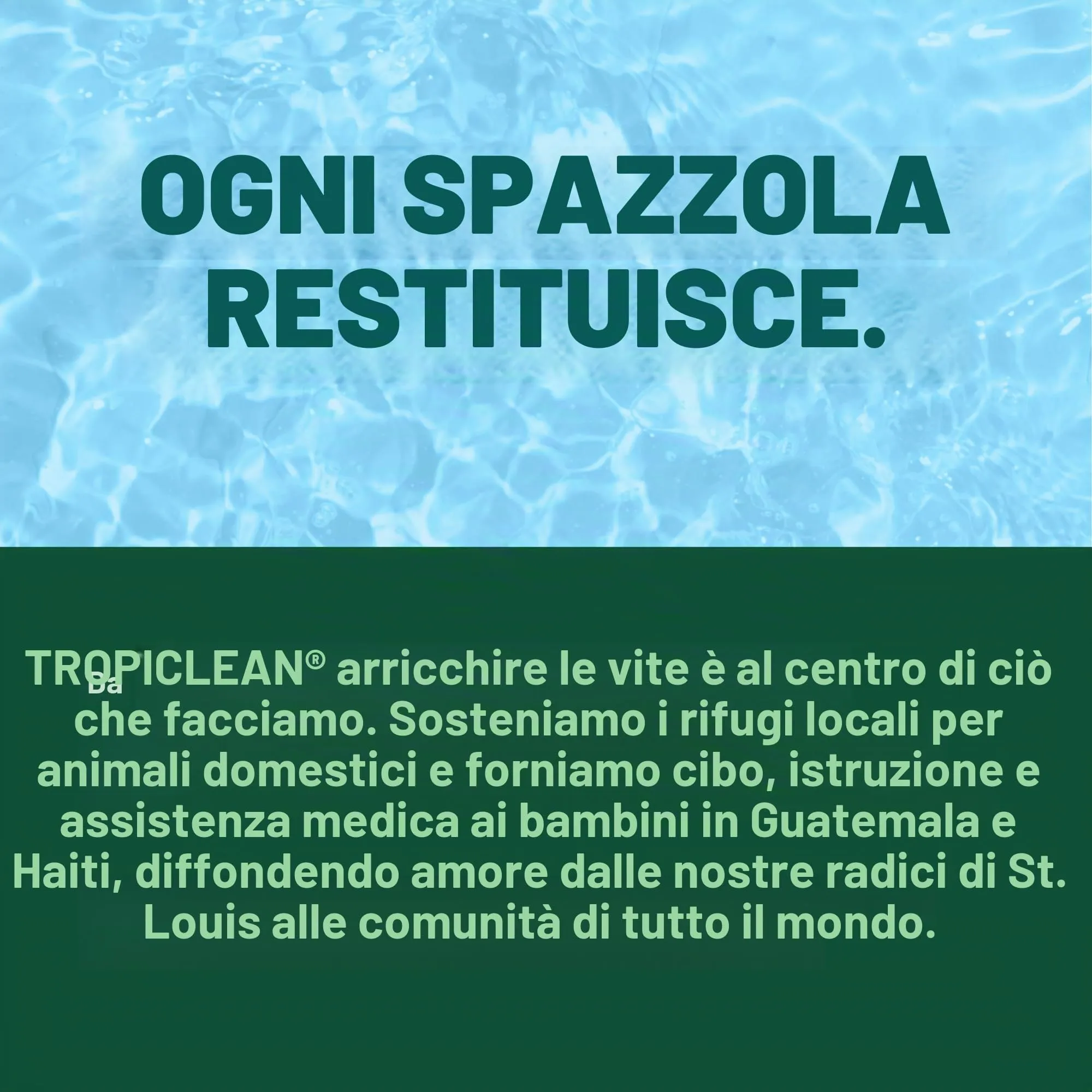 TropiClean Gel Denti Puliti per Cani | Cura dentale del cane | Dentifricio per cani | Deodorante per l'alito | Facile pulizia dei denti | Prodotto negli Stati Uniti | Flacone da 59 ml - immagine 8