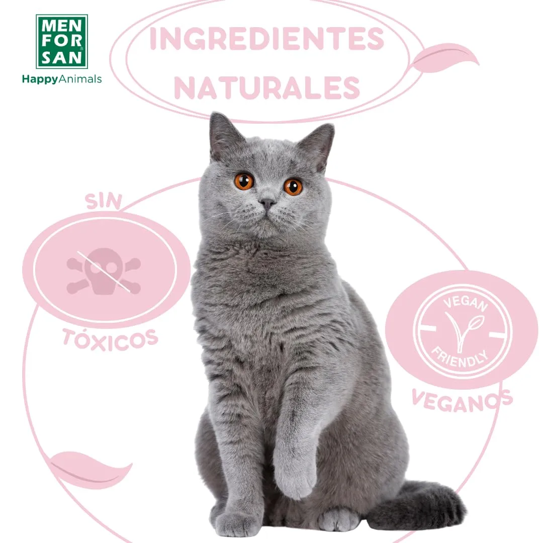 Shampoing pour animaux de compagnie Menforsan Chats Fraise (300 ml) - immagine 7